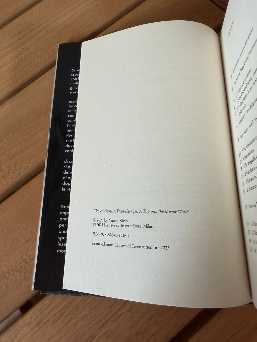 Doppio: Il mio viaggio nel Mondo Specchio - Naomi Klein