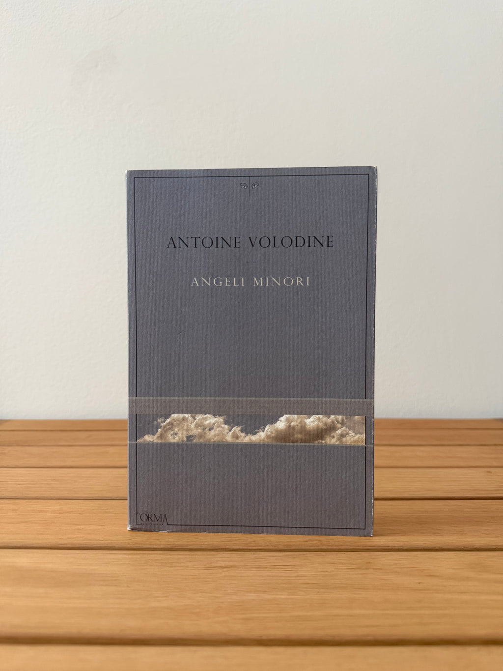 Angeli minori - Antoine Volodine