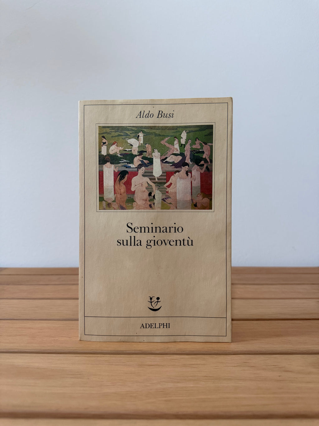 Seminario sulla gioventù - Aldo Busi