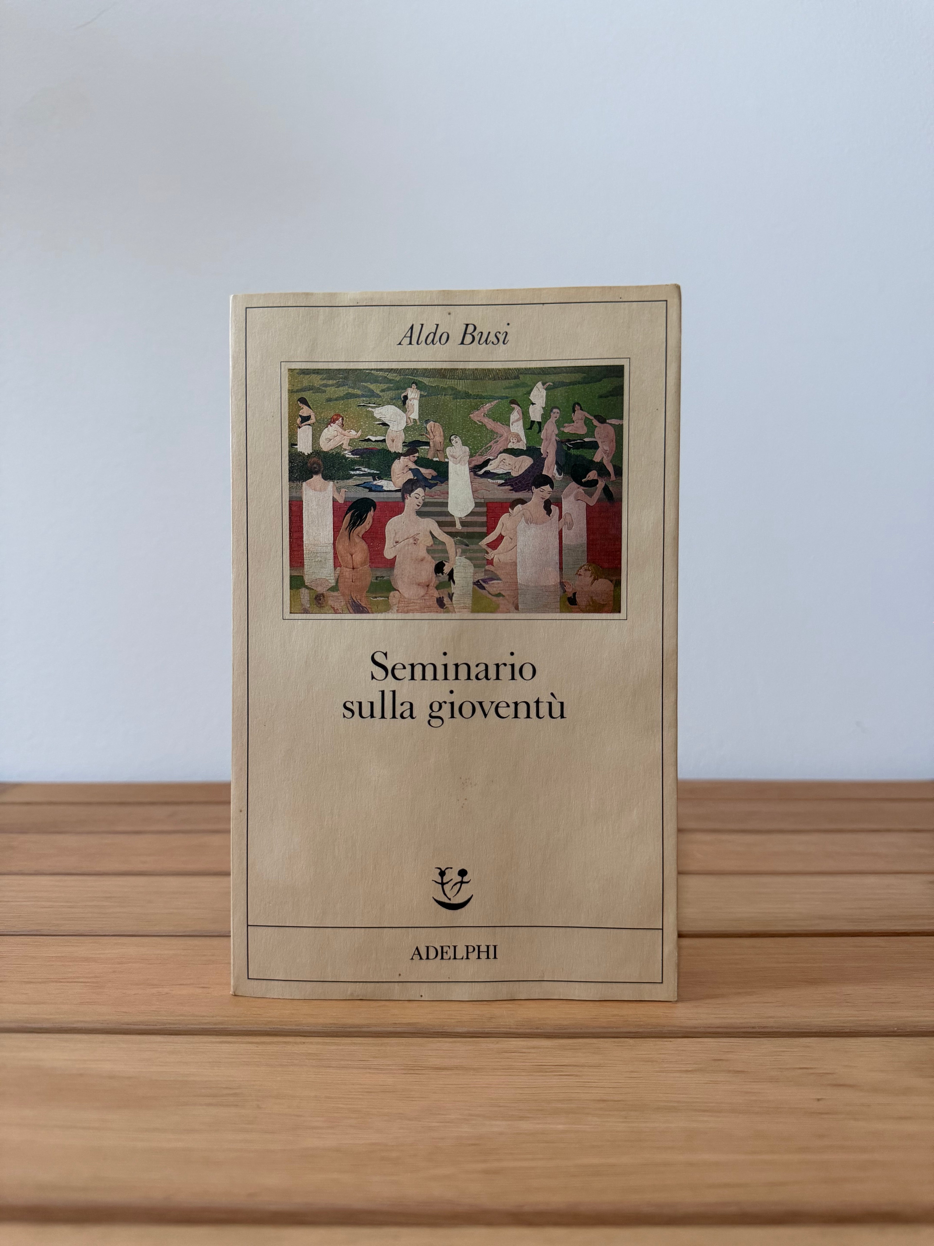 Seminario sulla gioventù - Aldo Busi