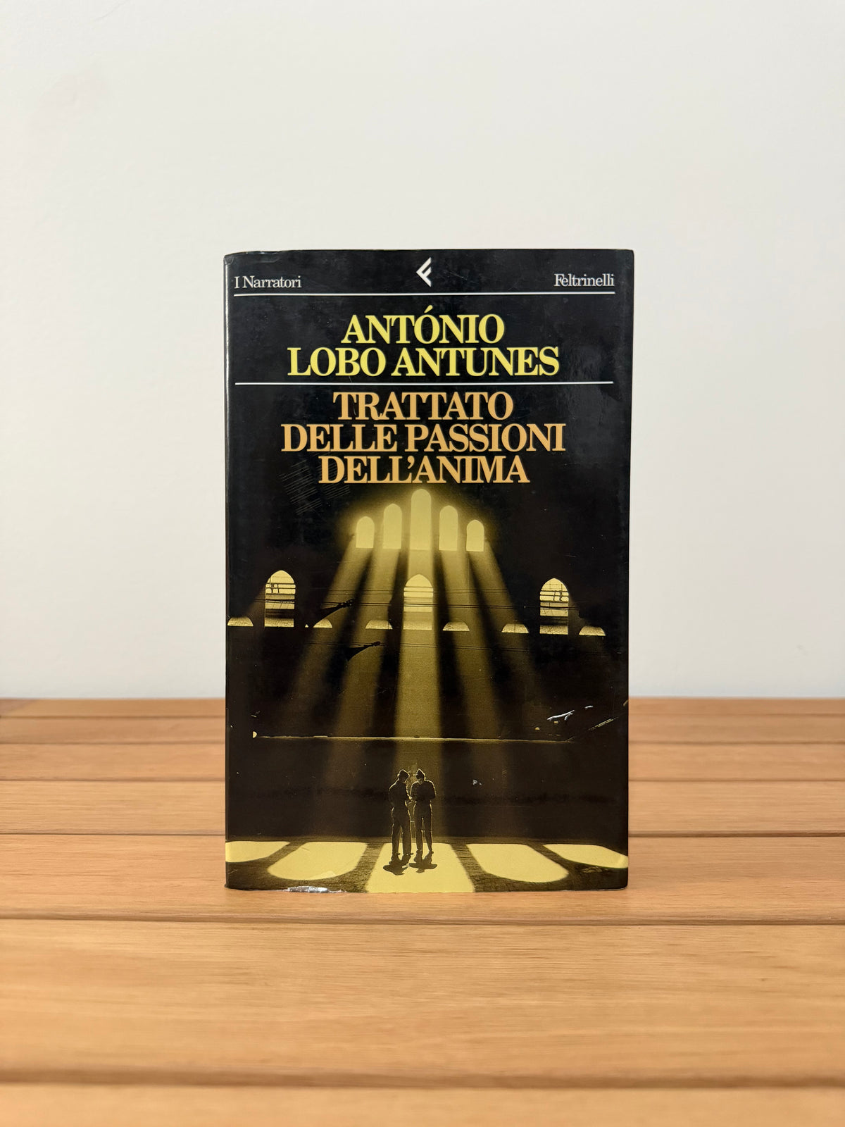 Trattato delle passioni dell'anima - António Lobo Antunes