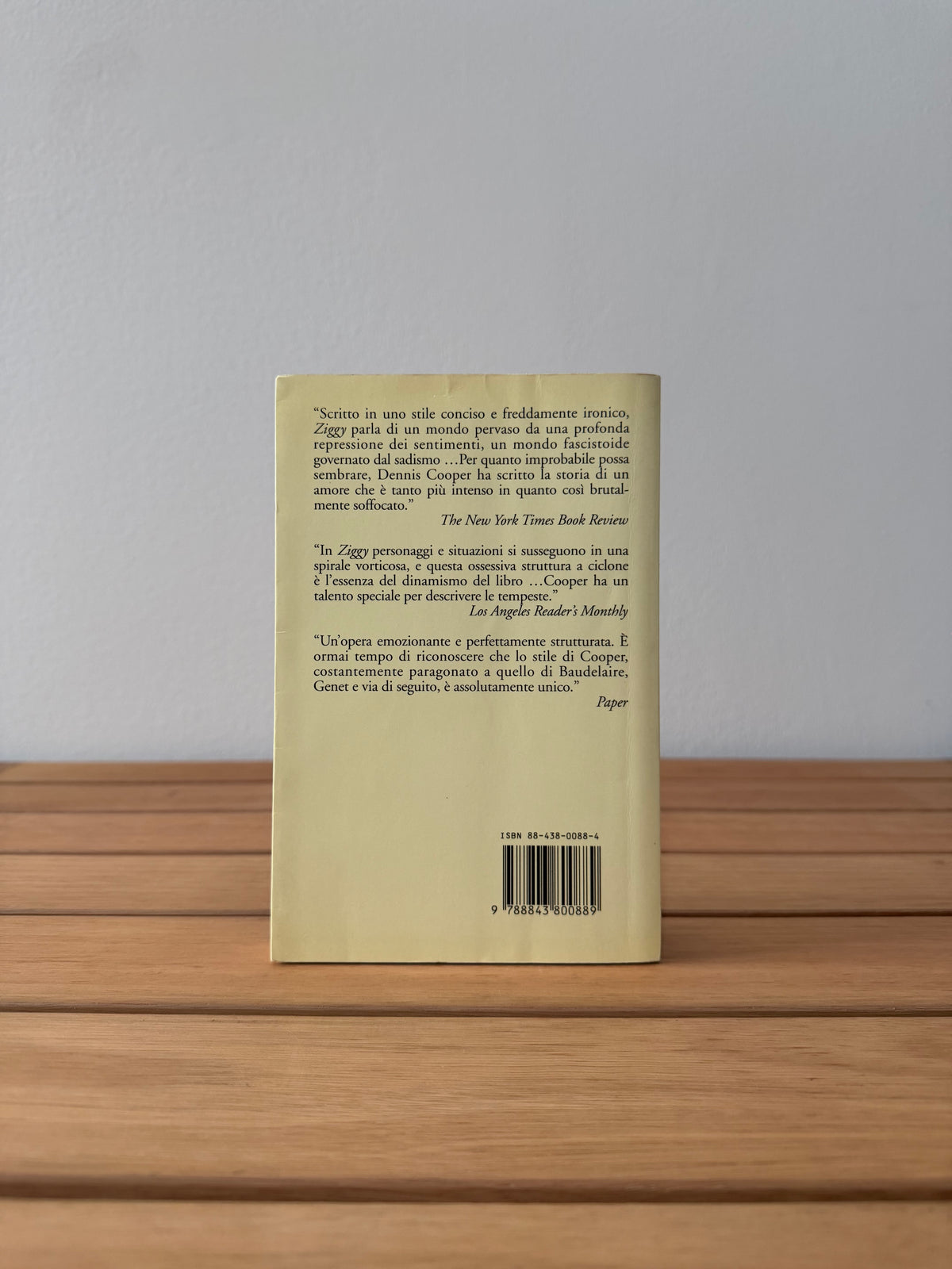 Ziggy - Dennis Cooper