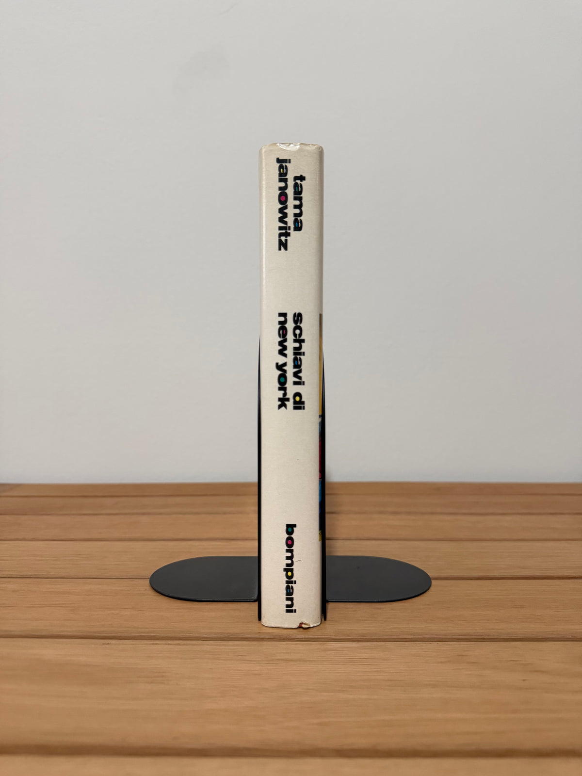 Schiavi di New York - Tama Janowitz