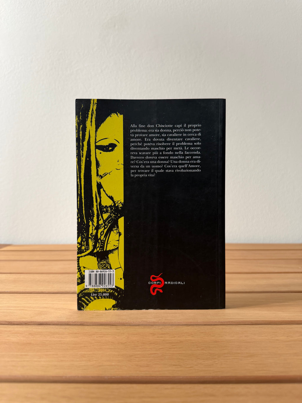 Don Chisciotte - Kathy Acker