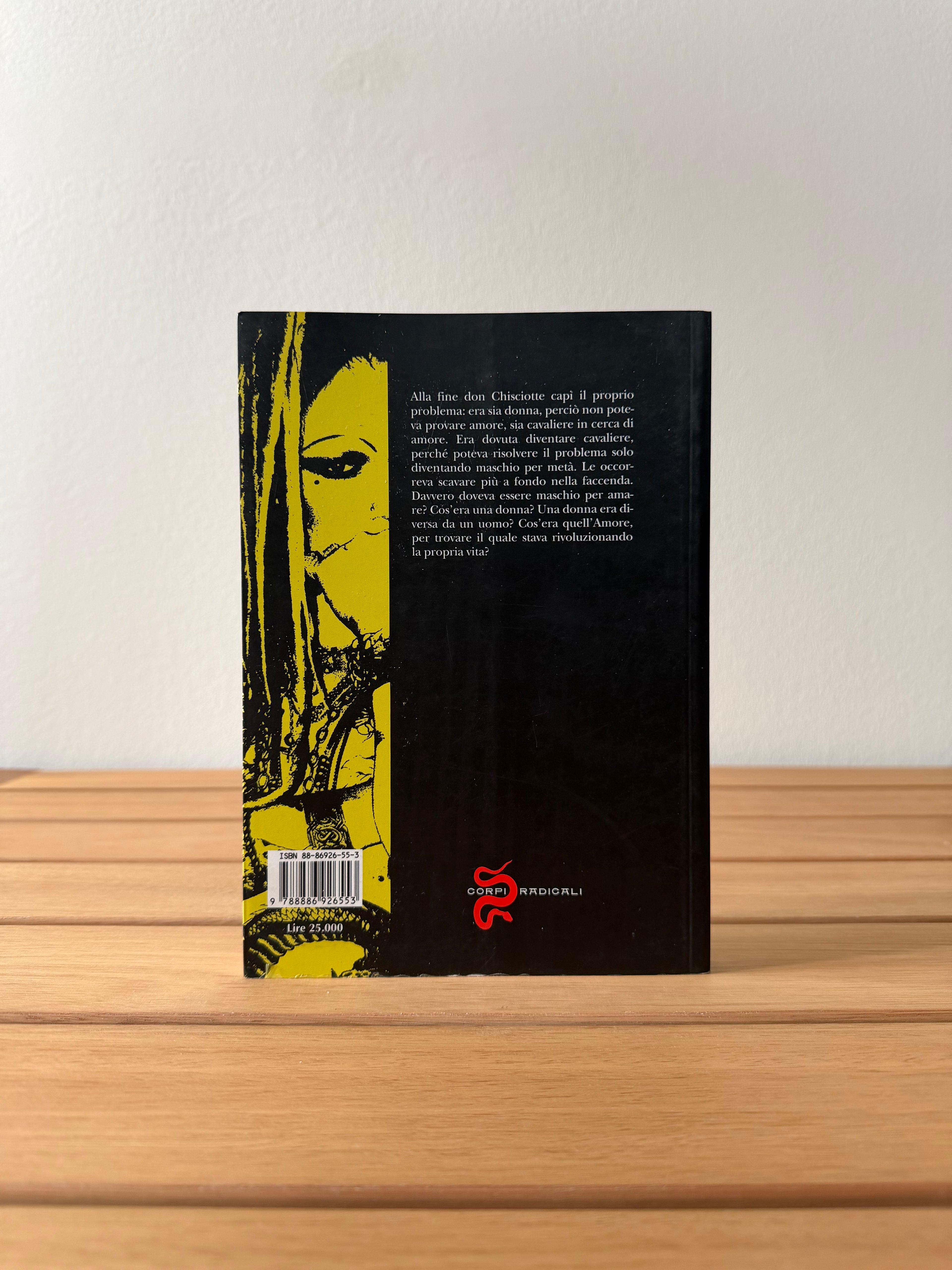 Don Chisciotte - Kathy Acker