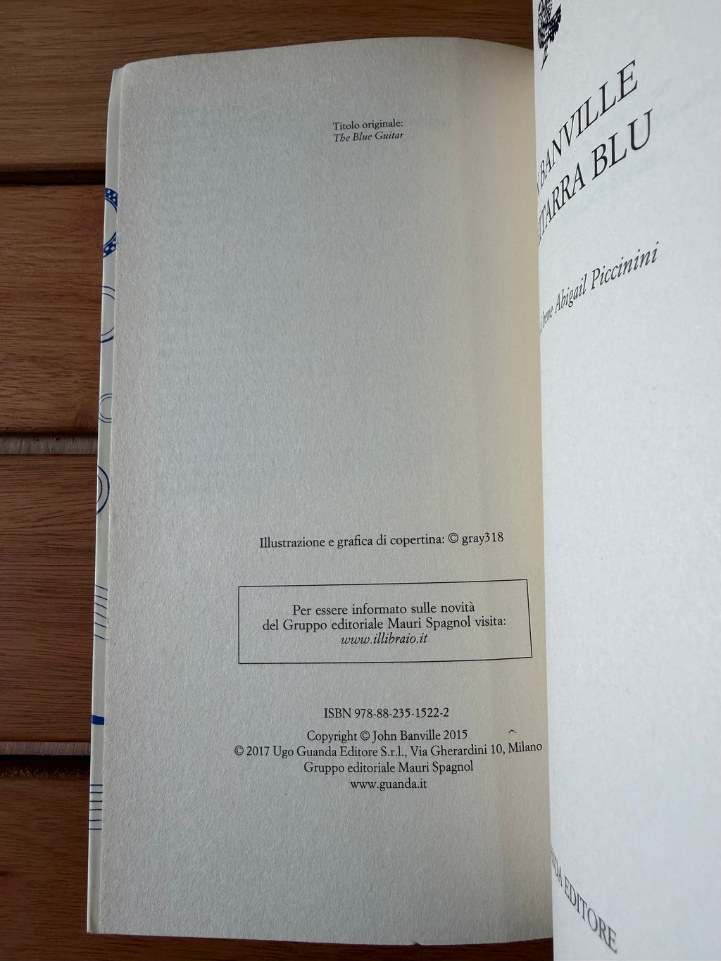 La chitarra blu - John Banville