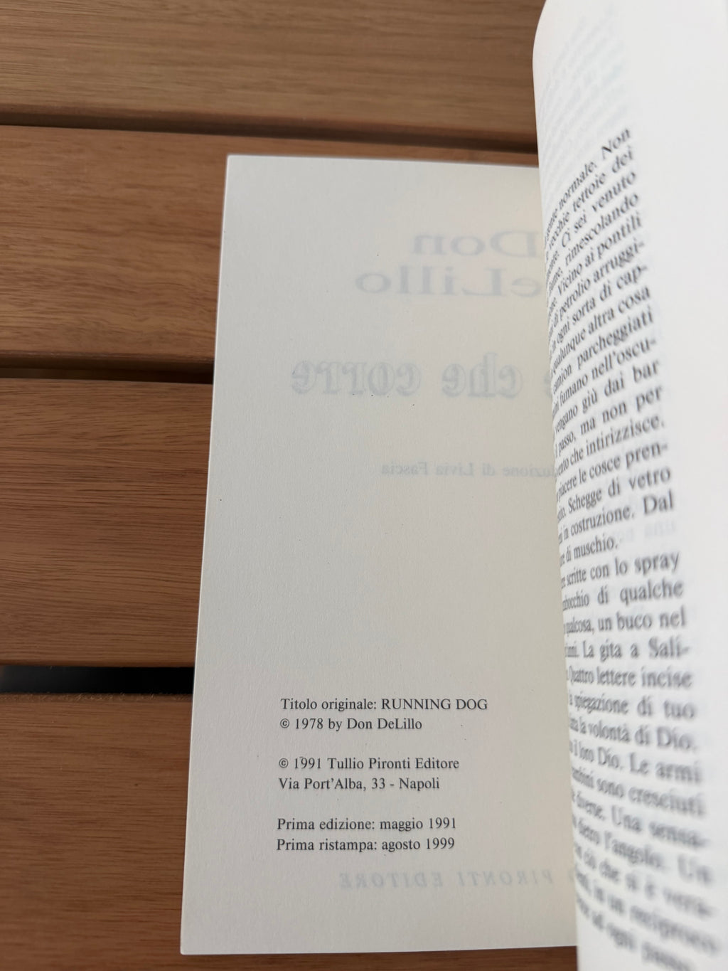 Cane che corre - Don DeLillo