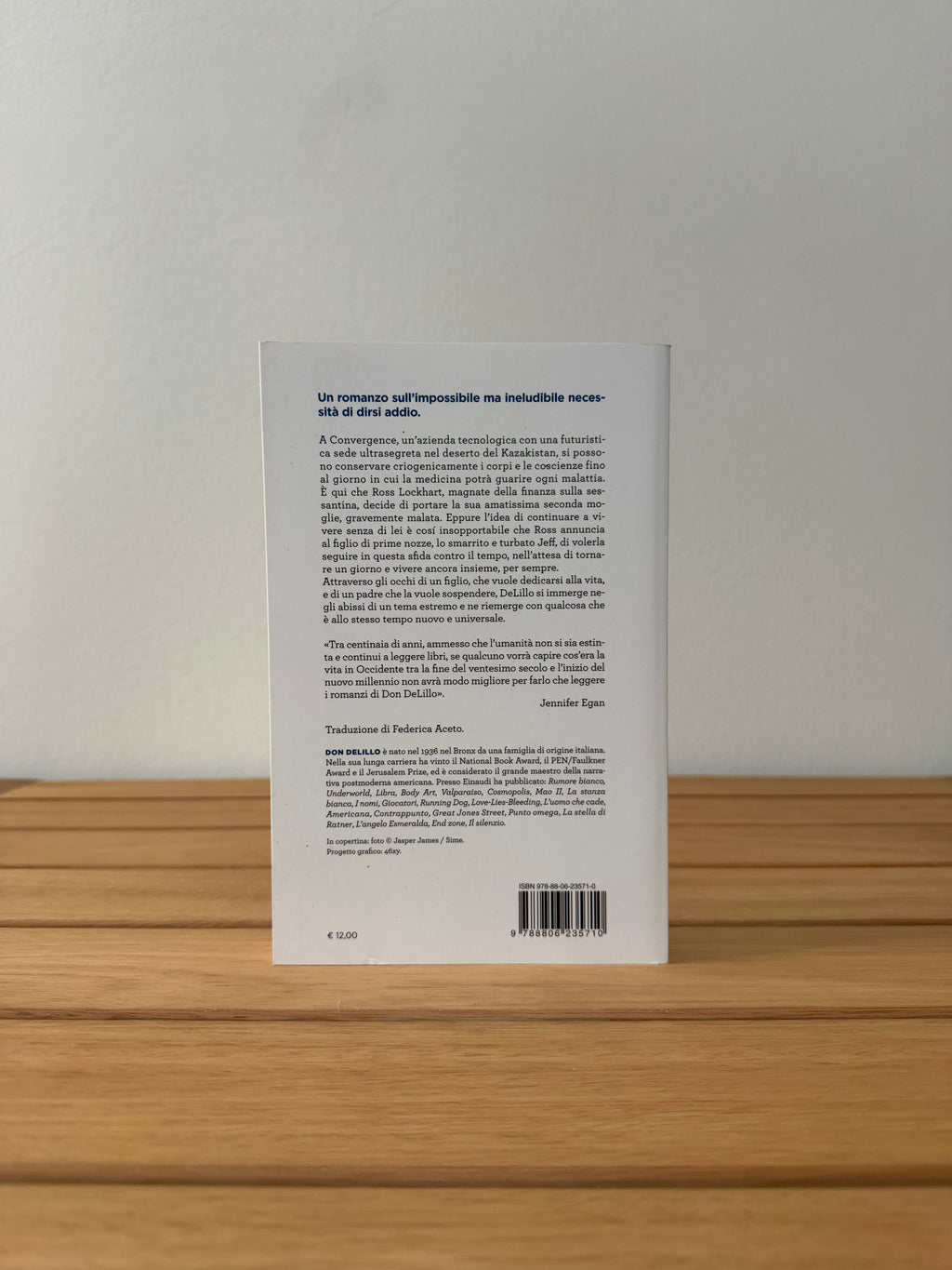Zero K - Don DeLillo