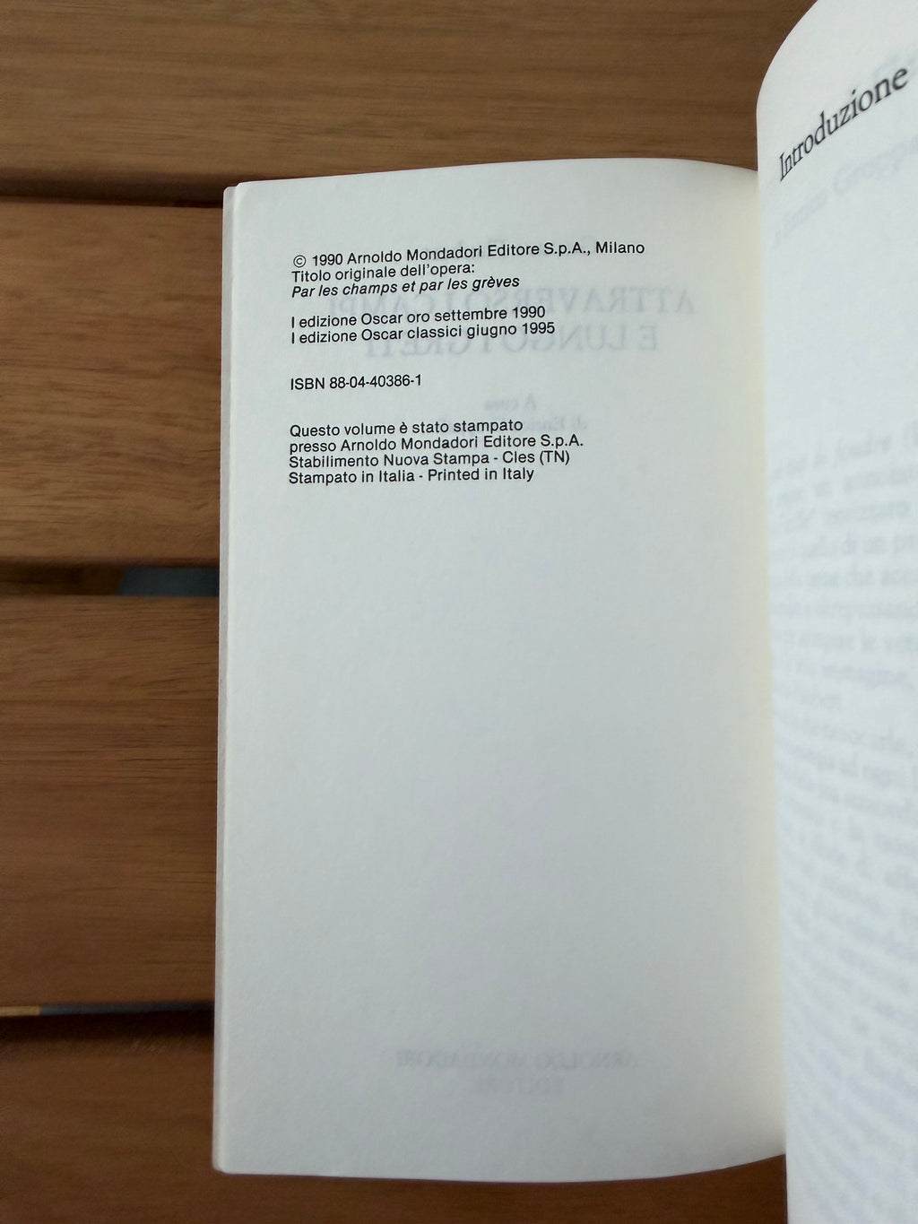 Attraverso i campi e lungo i greti - Gustave Flaubert