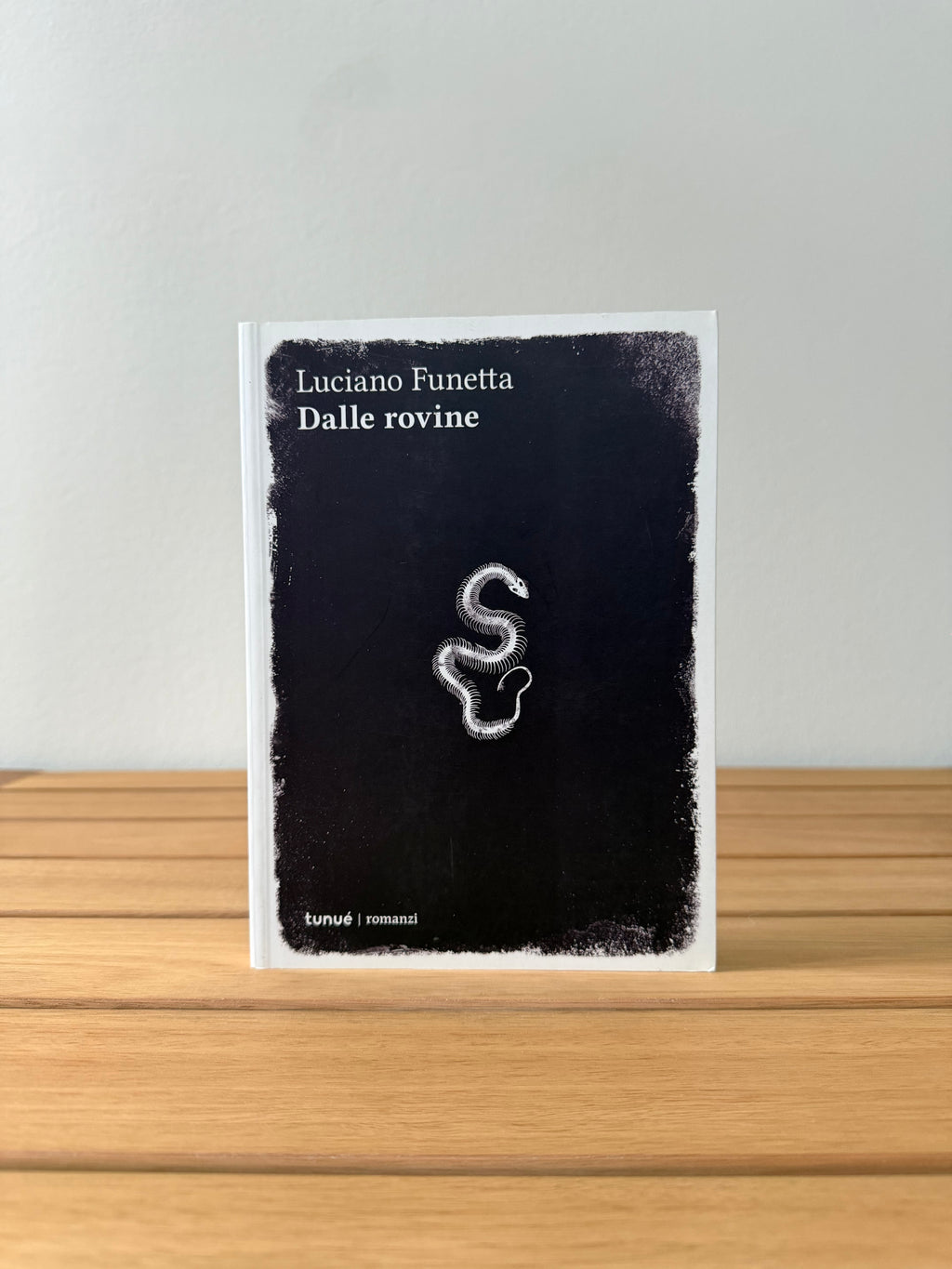 Dalle rovine - Luciano Funetta