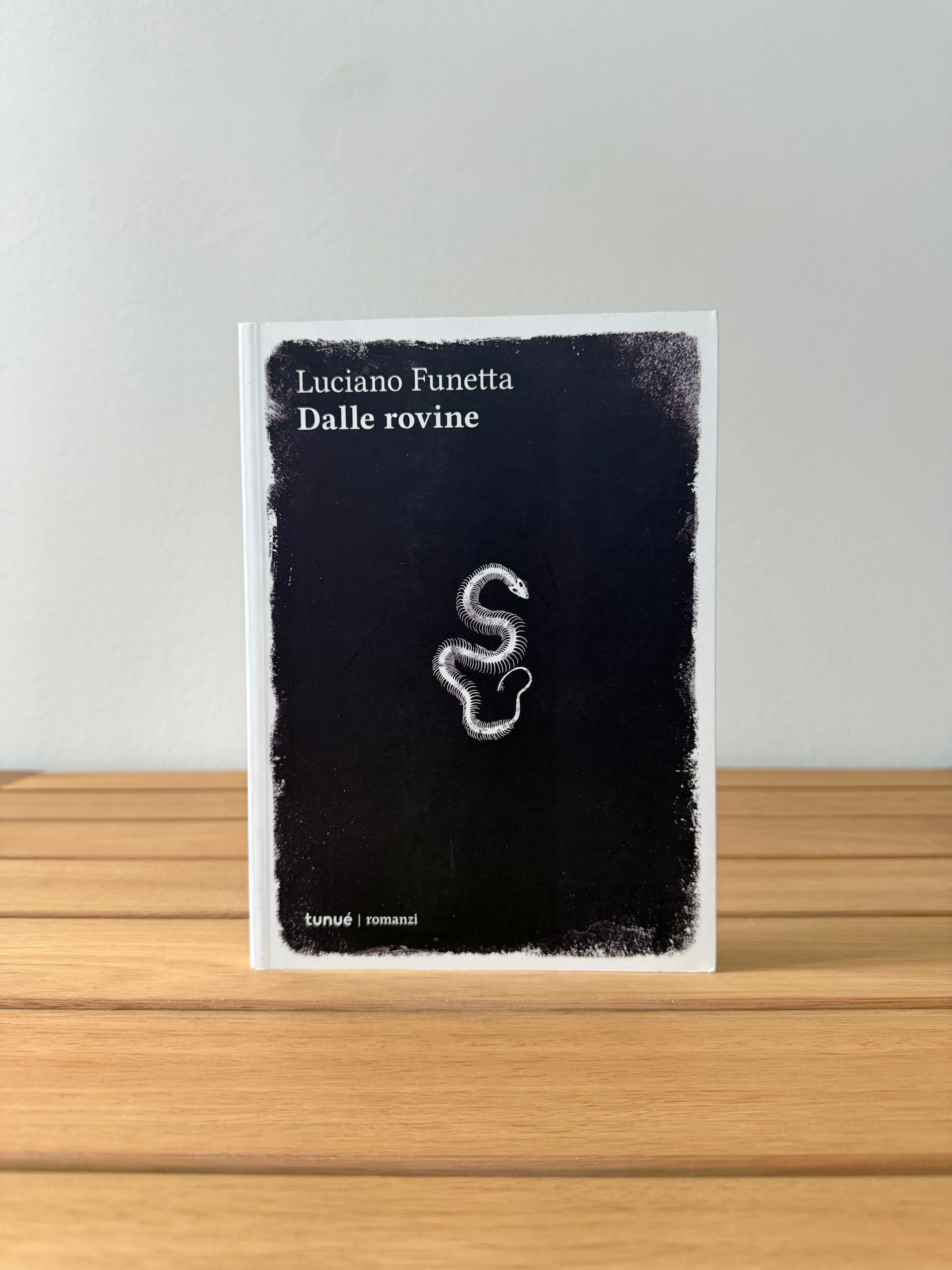 Dalle rovine - Luciano Funetta