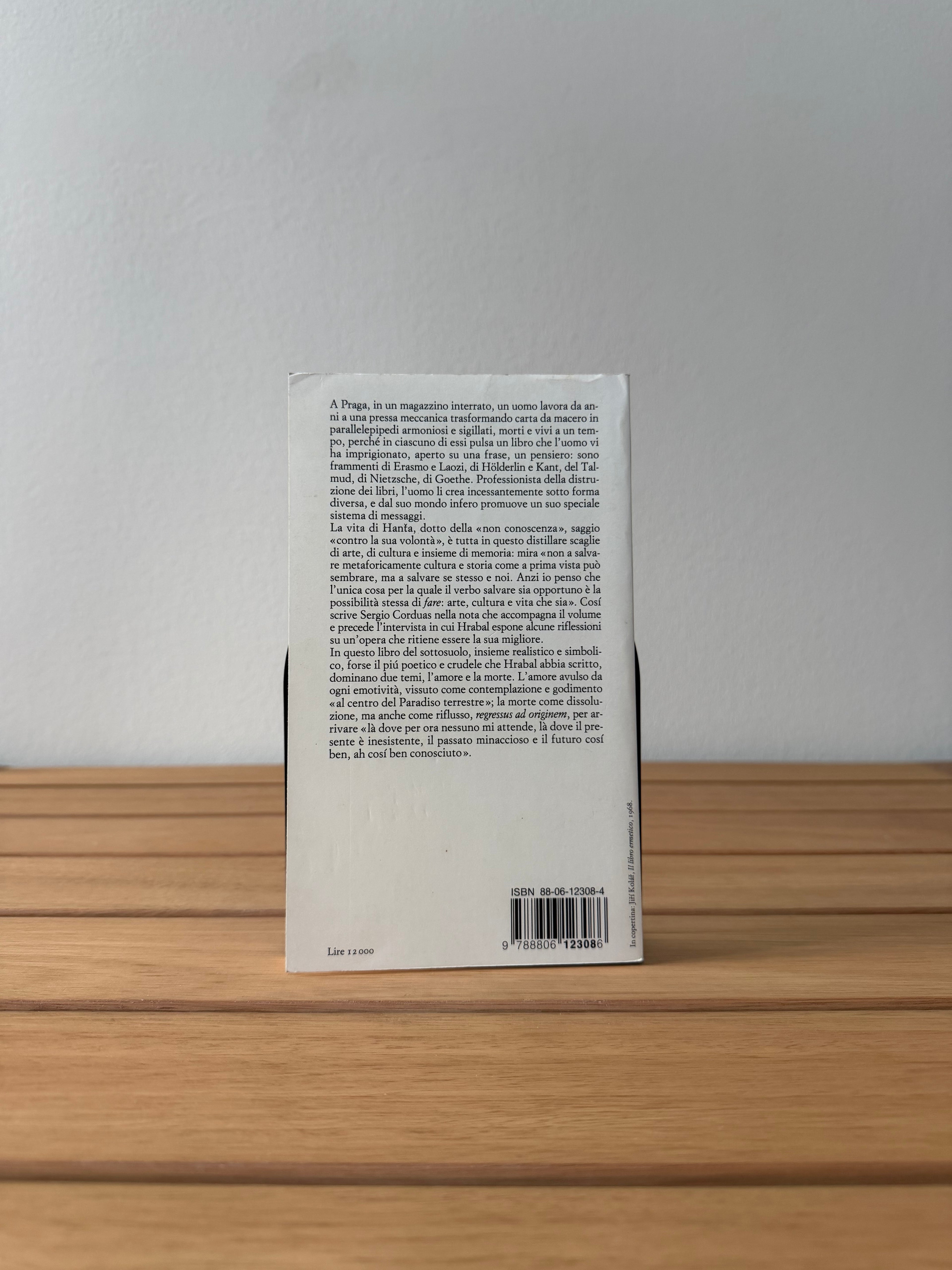 Una solitudine troppo rumorosa - Bohumil Hrabal
