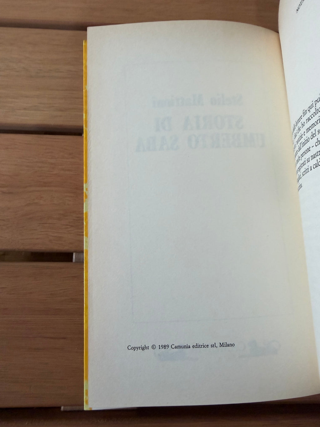 Storia di Umberto Saba - Stelio Mattioni