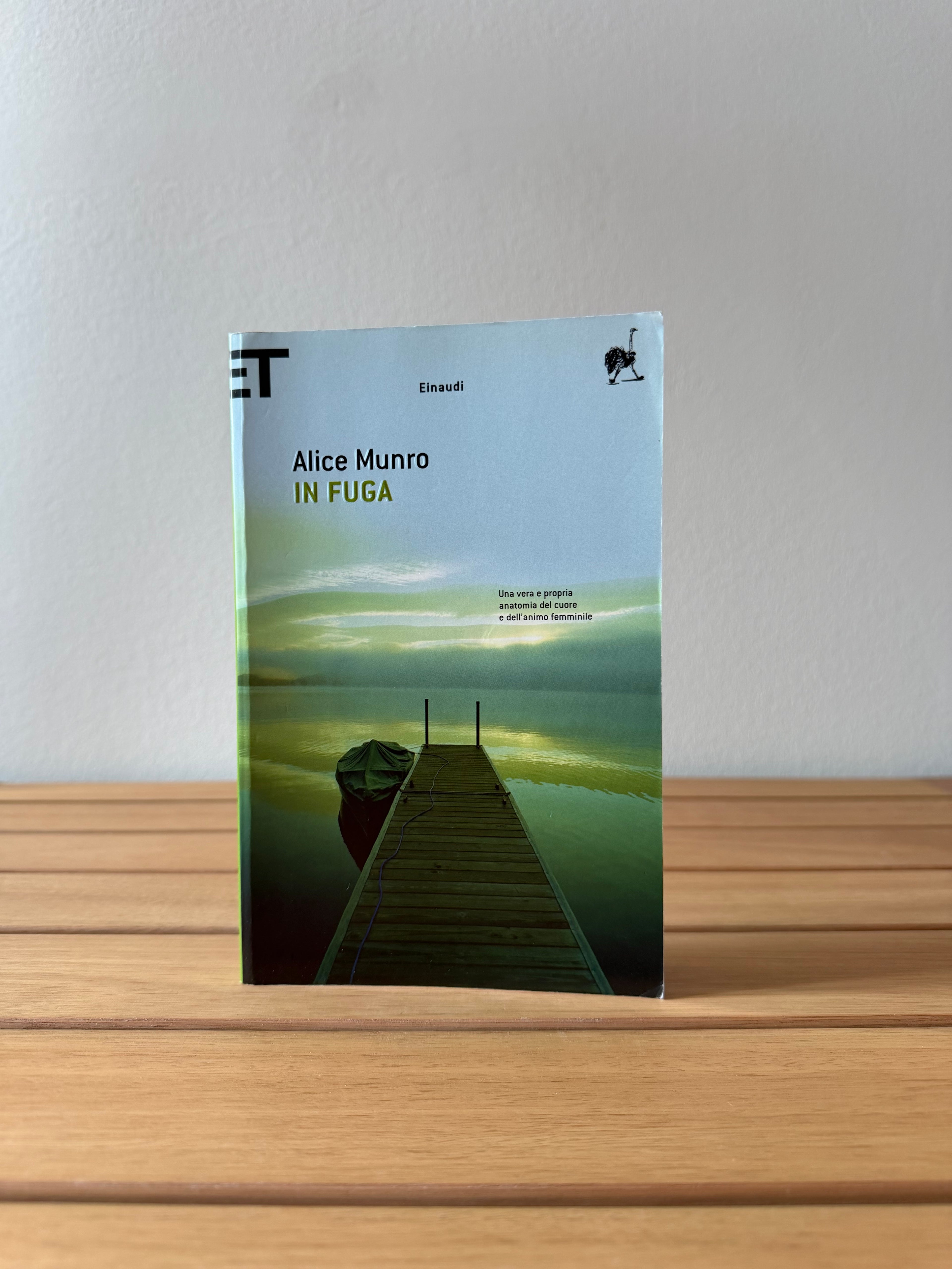 In fuga - Alice Munro