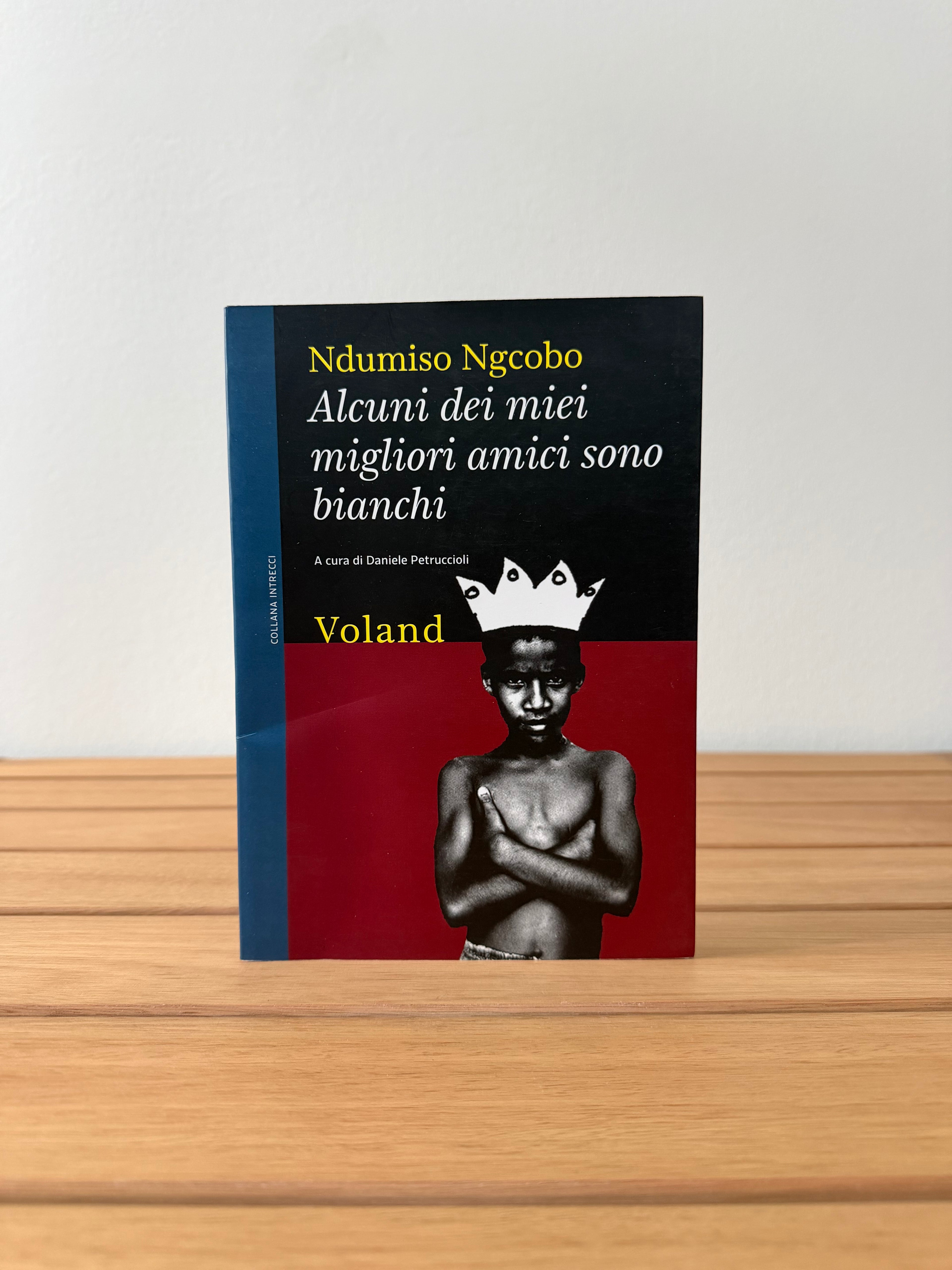 Alcuni dei miei migliori amici sono bianchi - Ndumiso Ngcobo