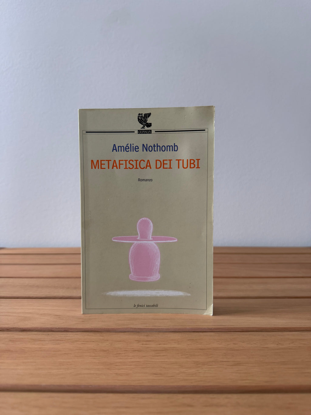 Metafisica dei tubi - Amélie Nothomb