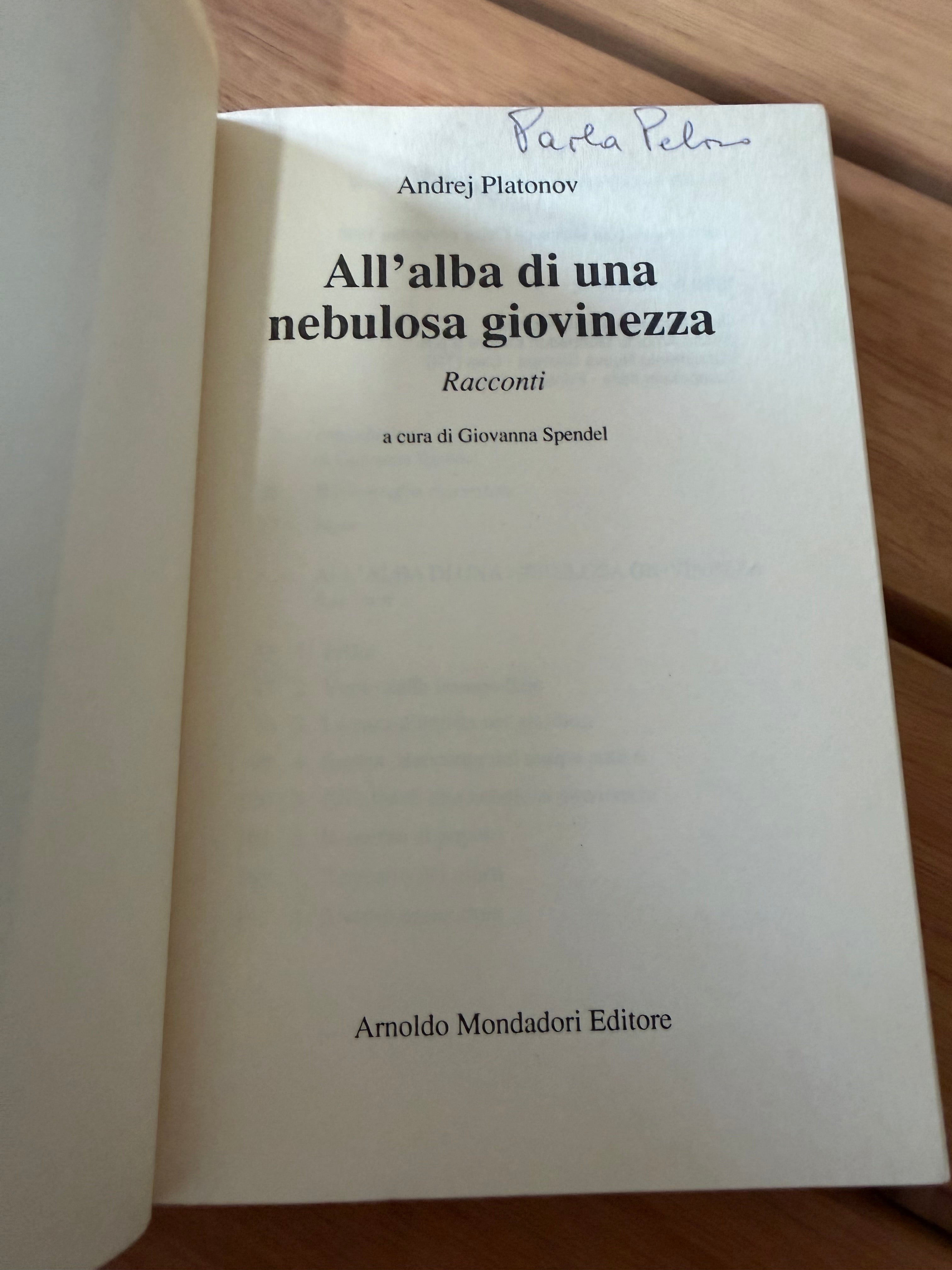 All'alba di una nebulosa giovinezza - Andrej Platonov