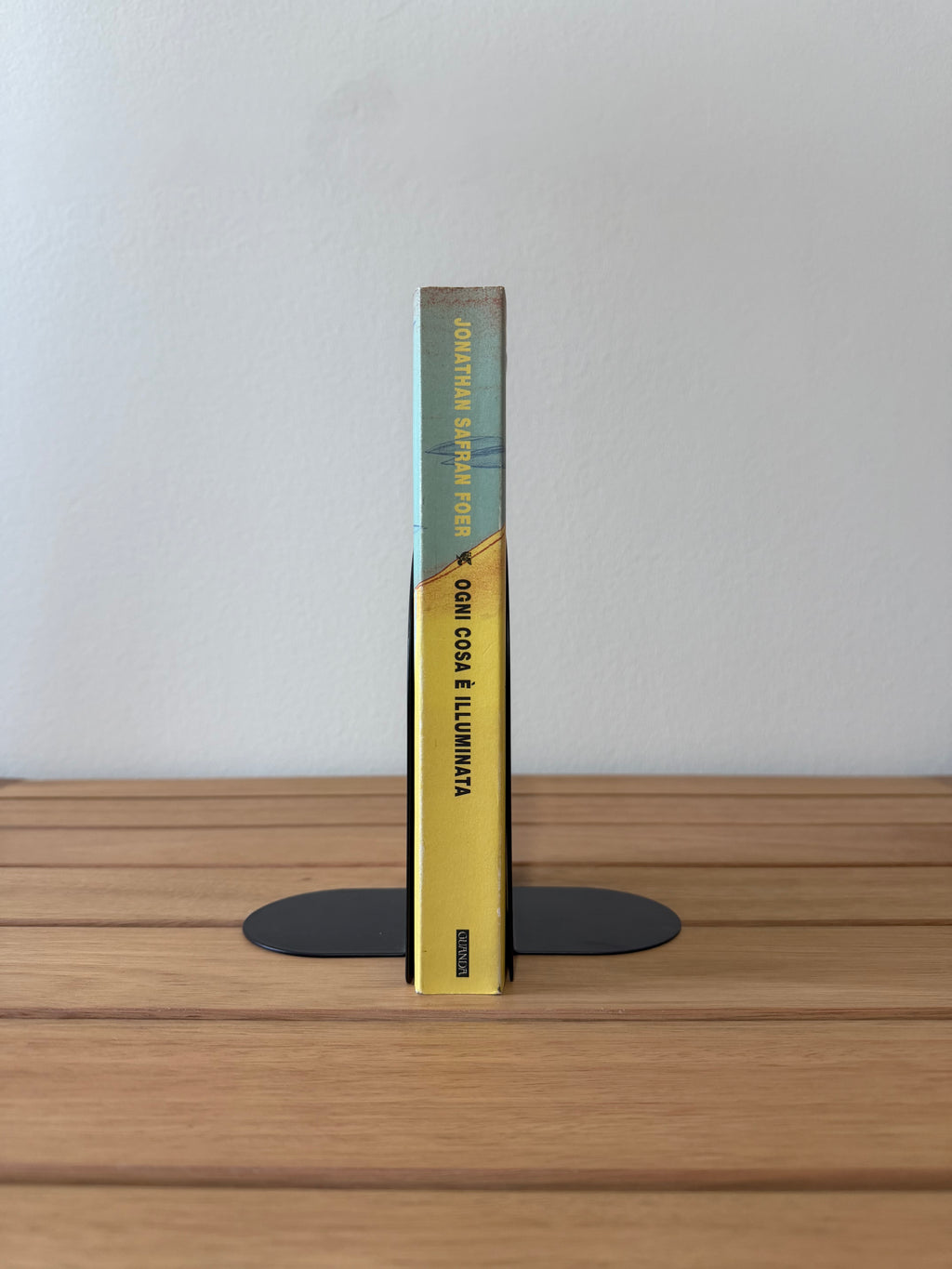 Ogni cosa è illuminata - Jonathan Safran Foer