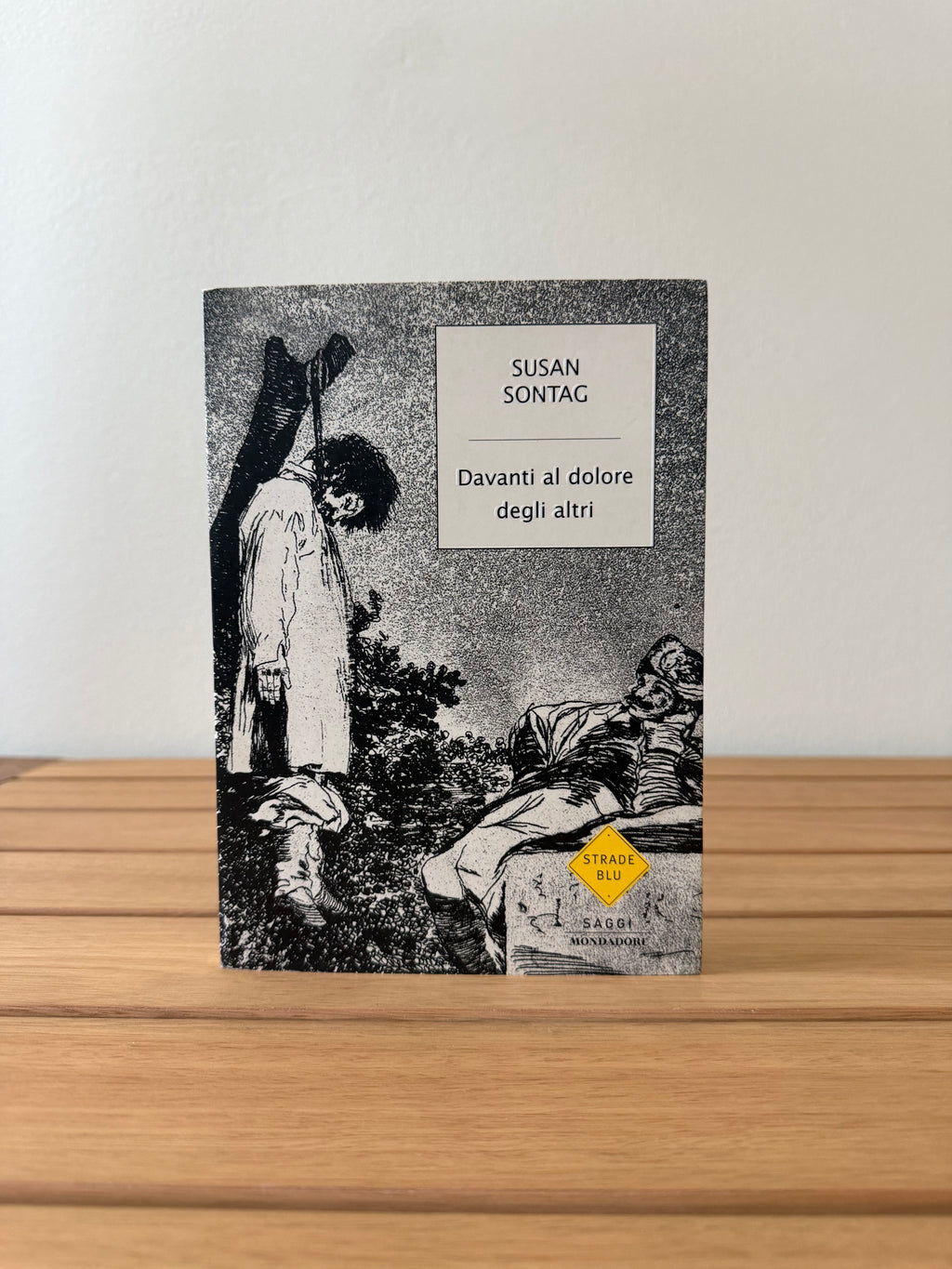 Davanti al dolore degli altri - Susan Sontag
