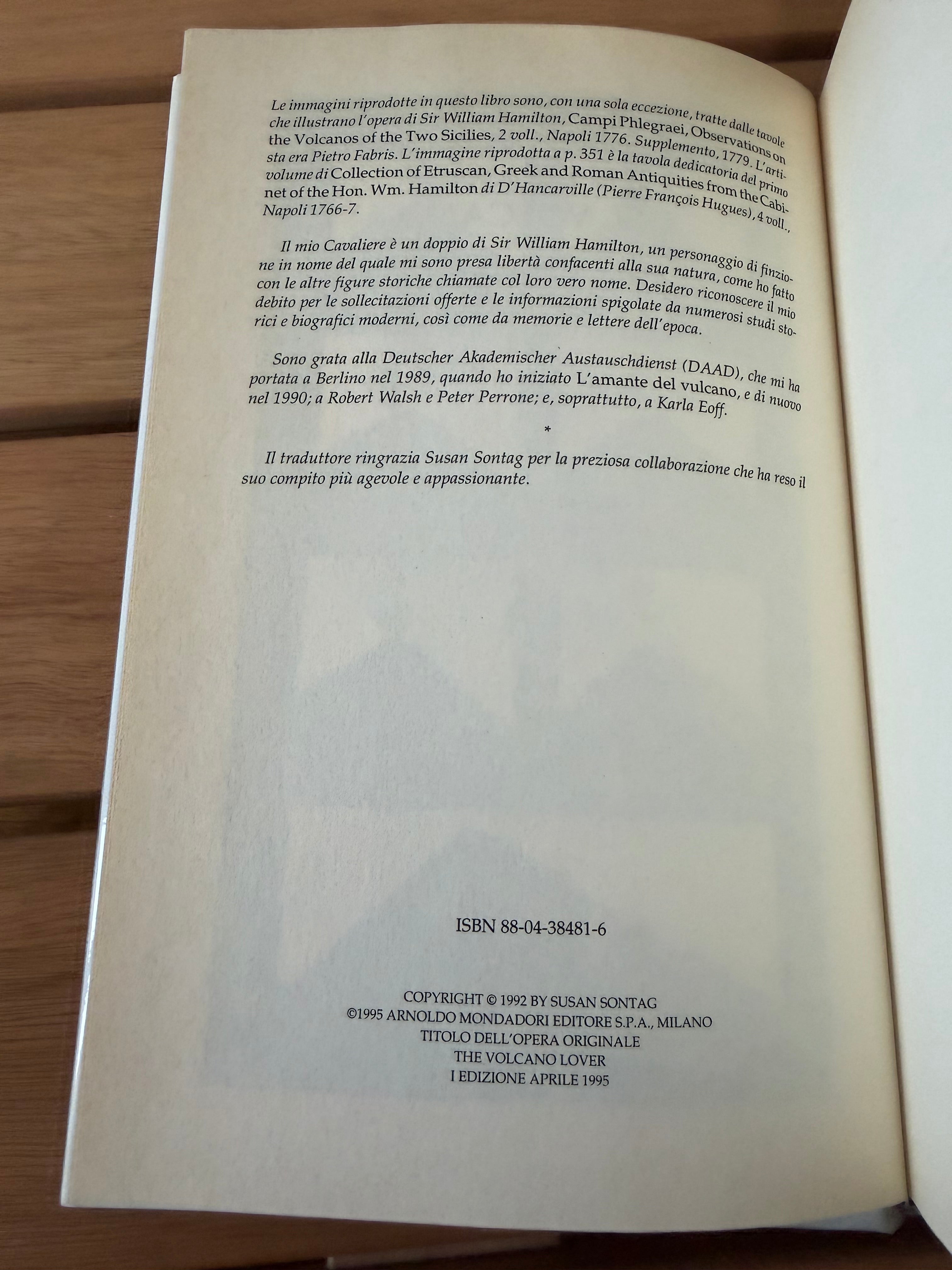 L'amante del vulcano - Susan Sontag
