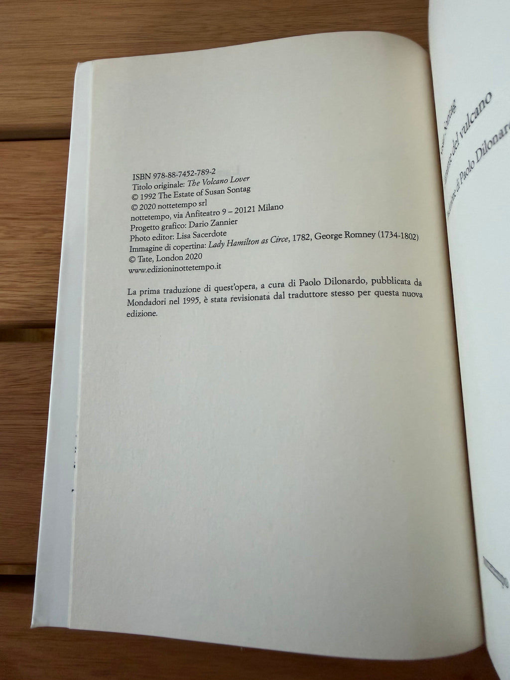 L'amante del vulcano - Susan Sontag
