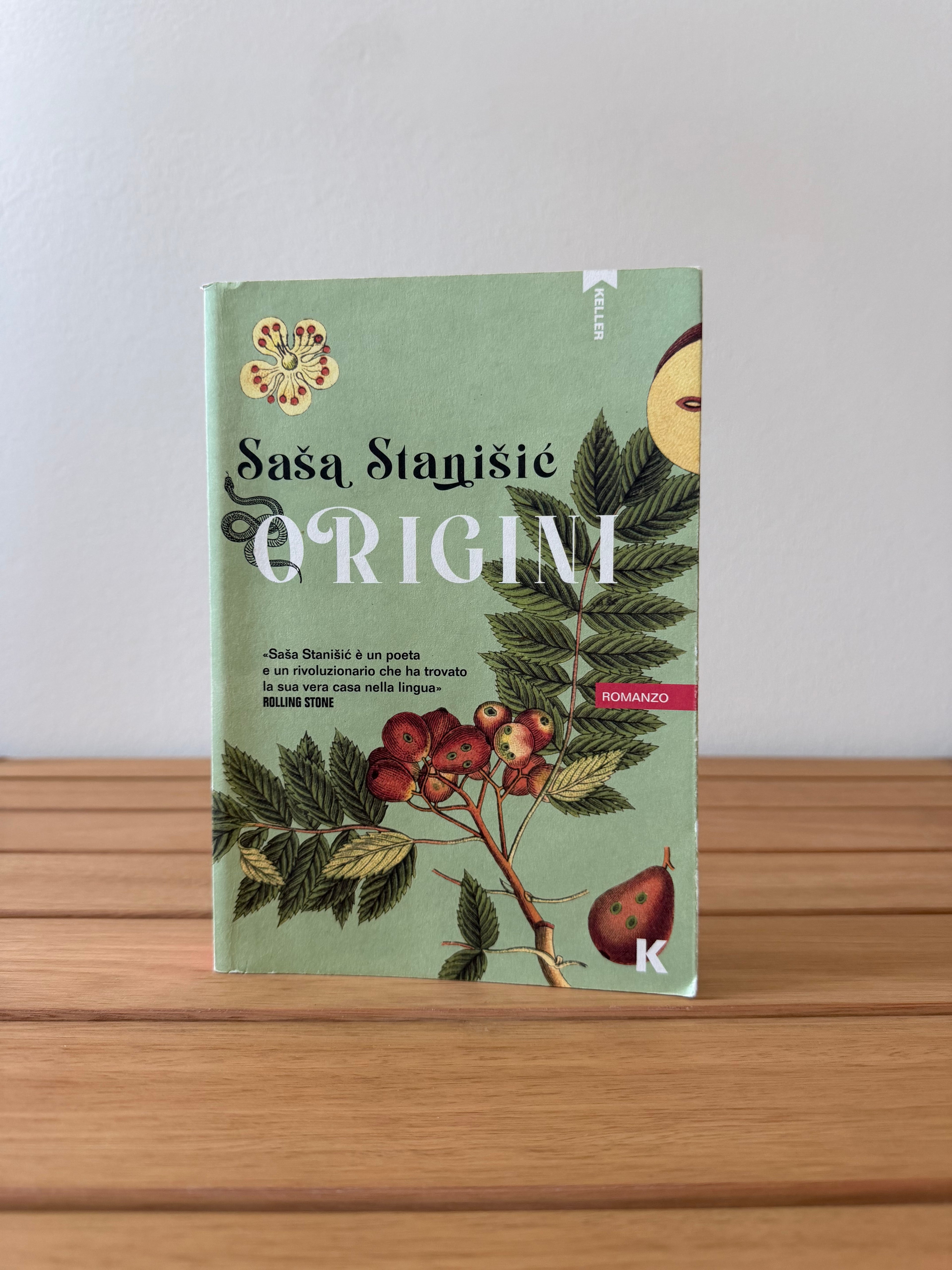 Origini - Saša Stanišić