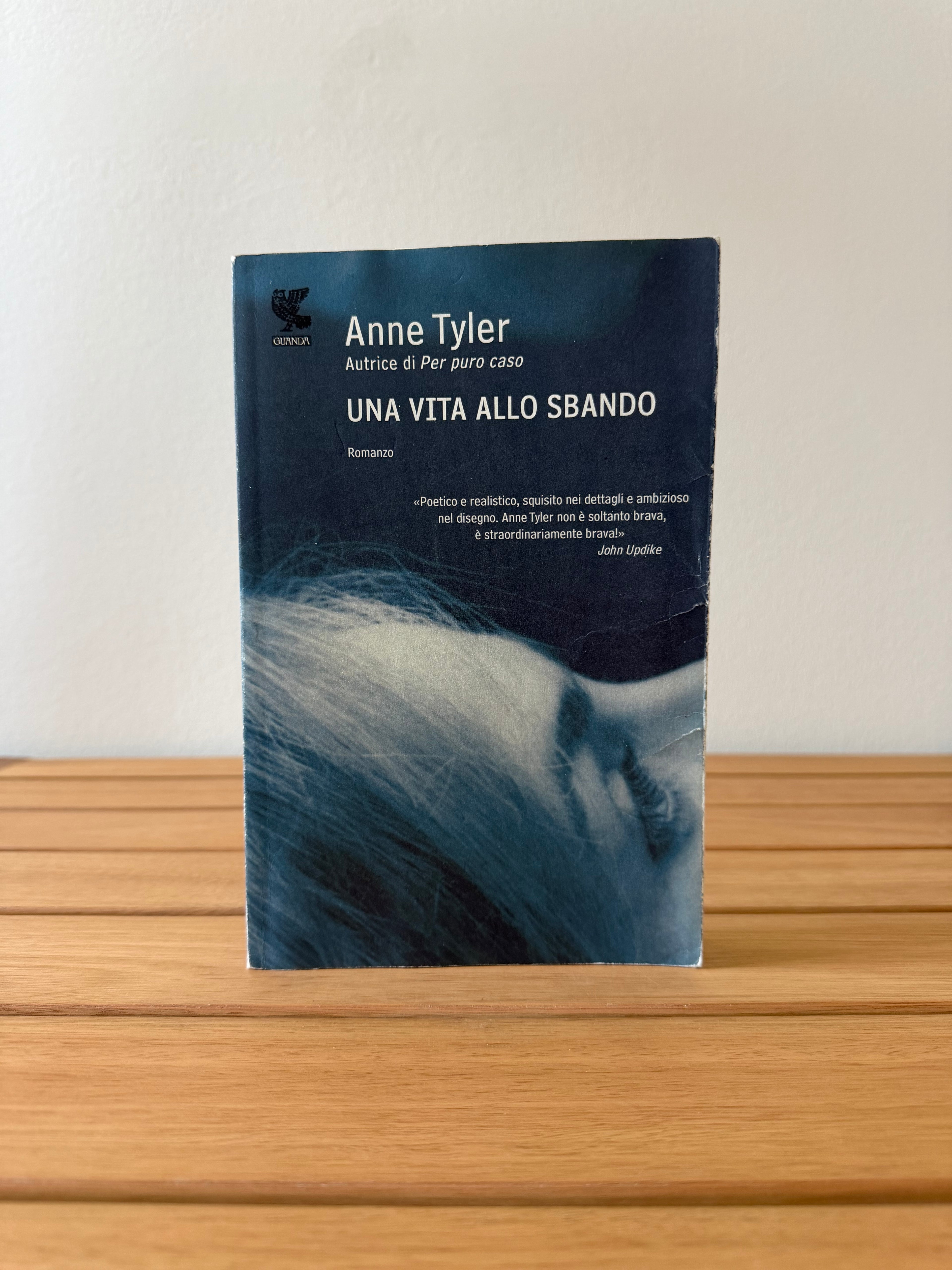 Una vita allo sbando - Anne Tyler