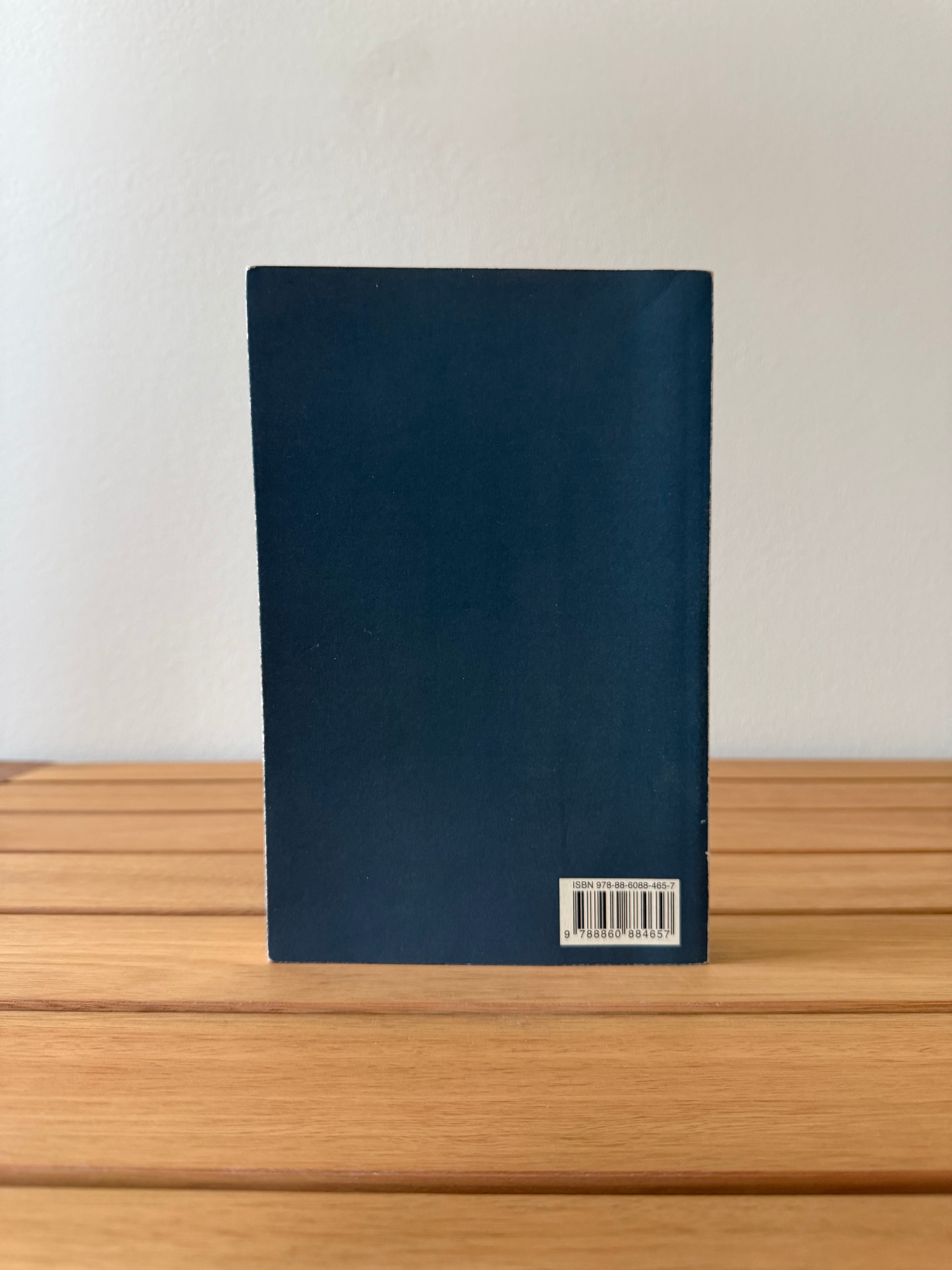 Una vita allo sbando - Anne Tyler