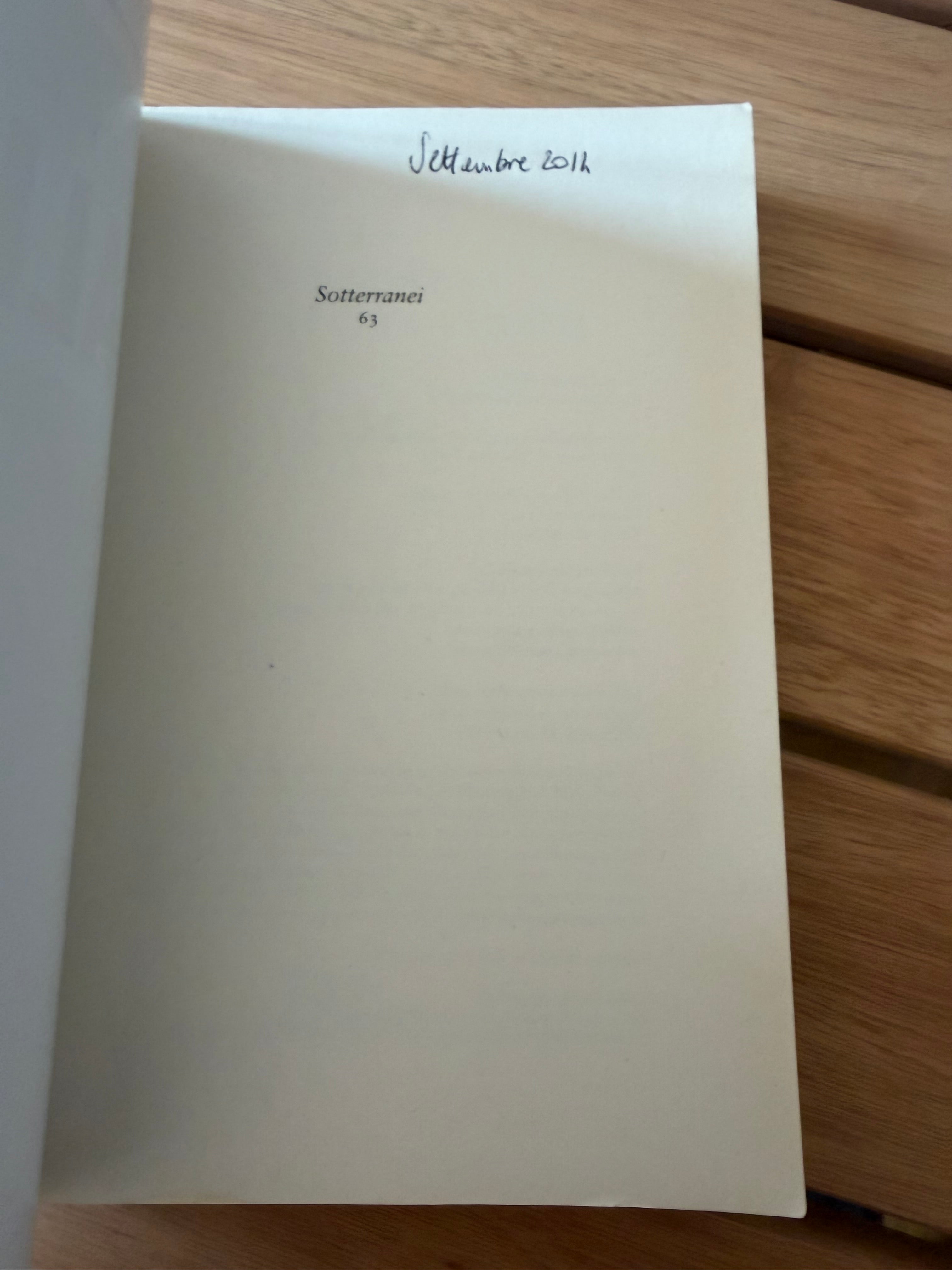 La ragazza dai capelli strani - David Foster Wallace