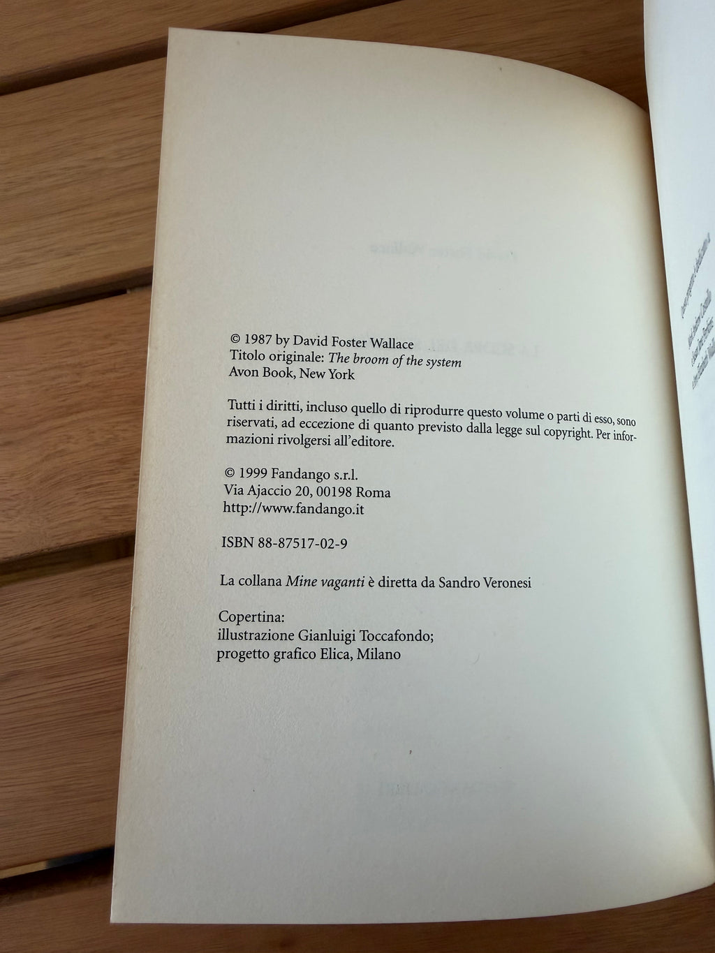 La scopa del sistema - David Foster Wallace