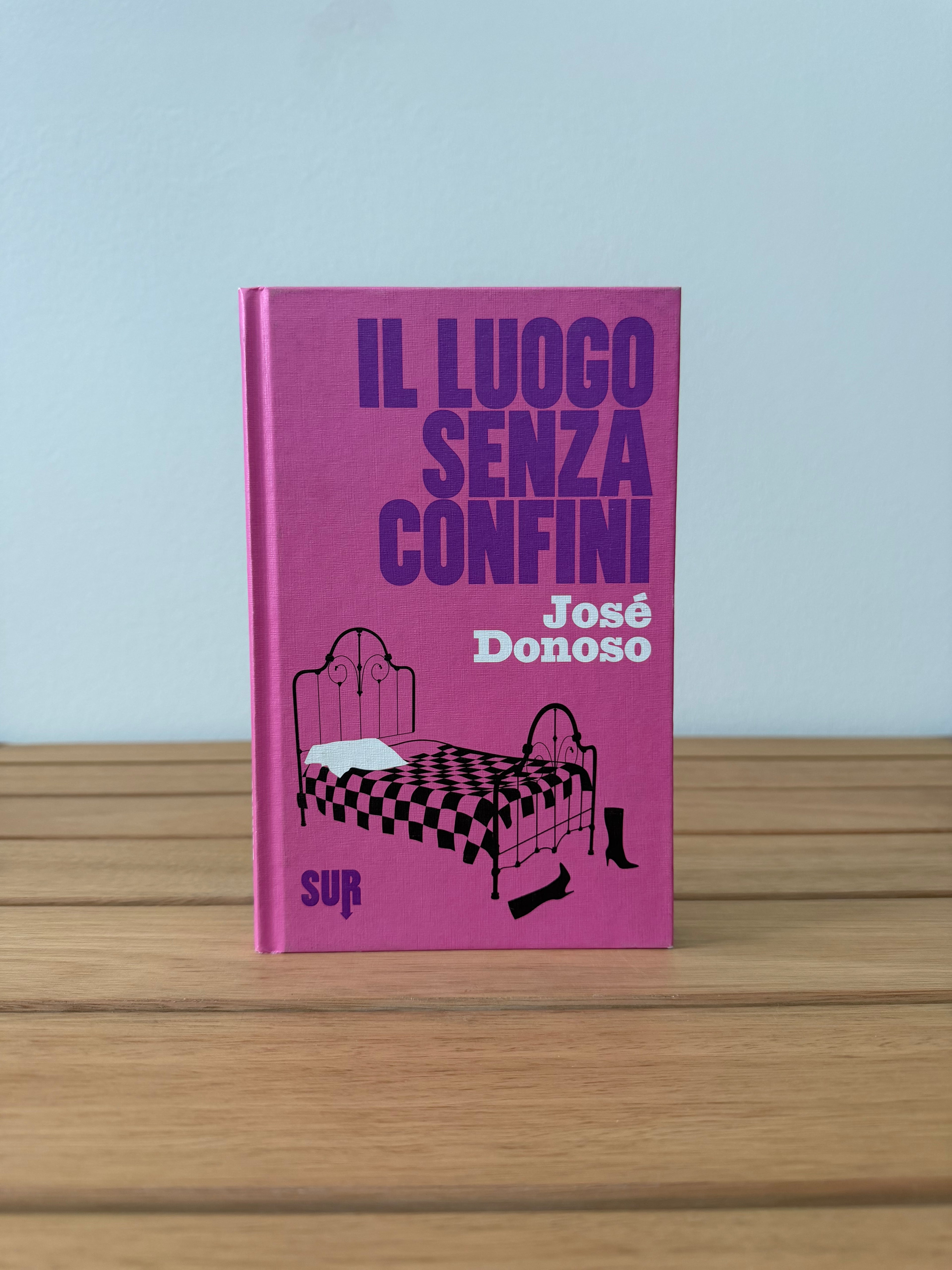Il luogo senza confini - José Donoso