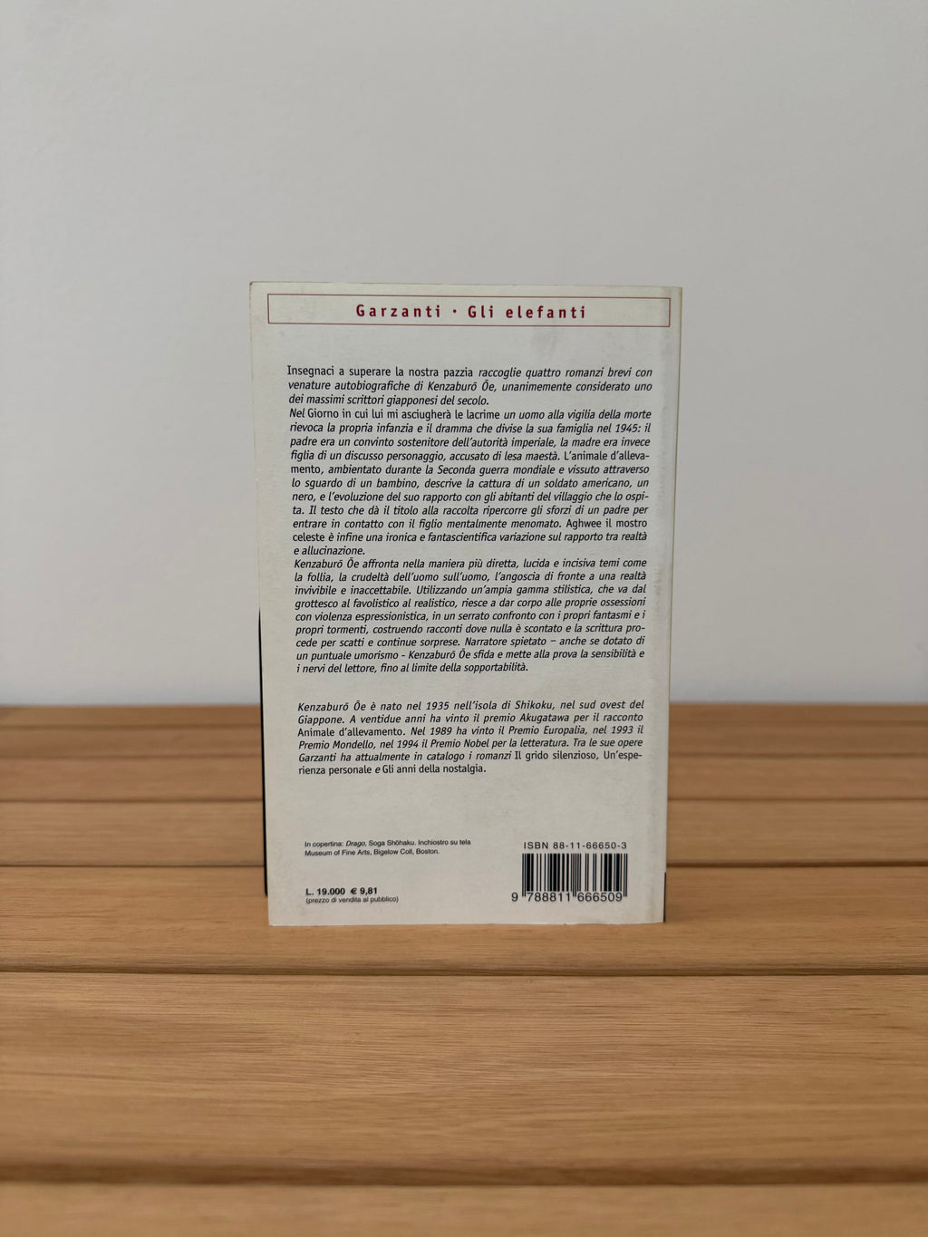 Insegnaci a superare la nostra pazzia - Kenzaburo Oe