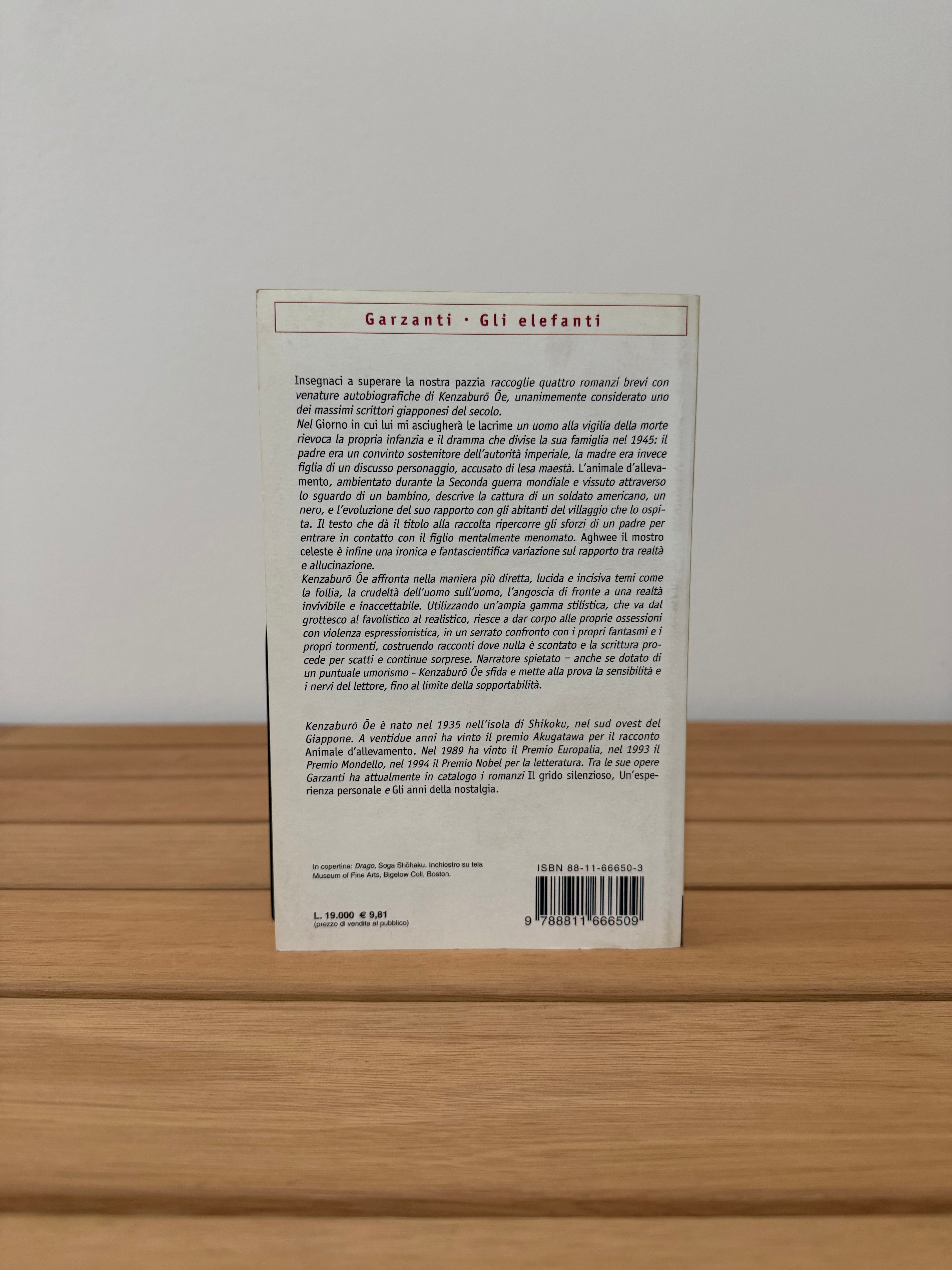 Insegnaci a superare la nostra pazzia - Kenzaburo Oe