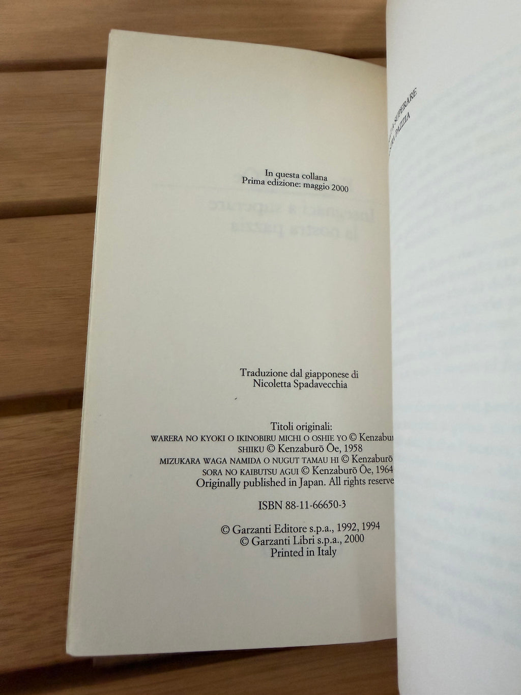 Insegnaci a superare la nostra pazzia - Kenzaburo Oe
