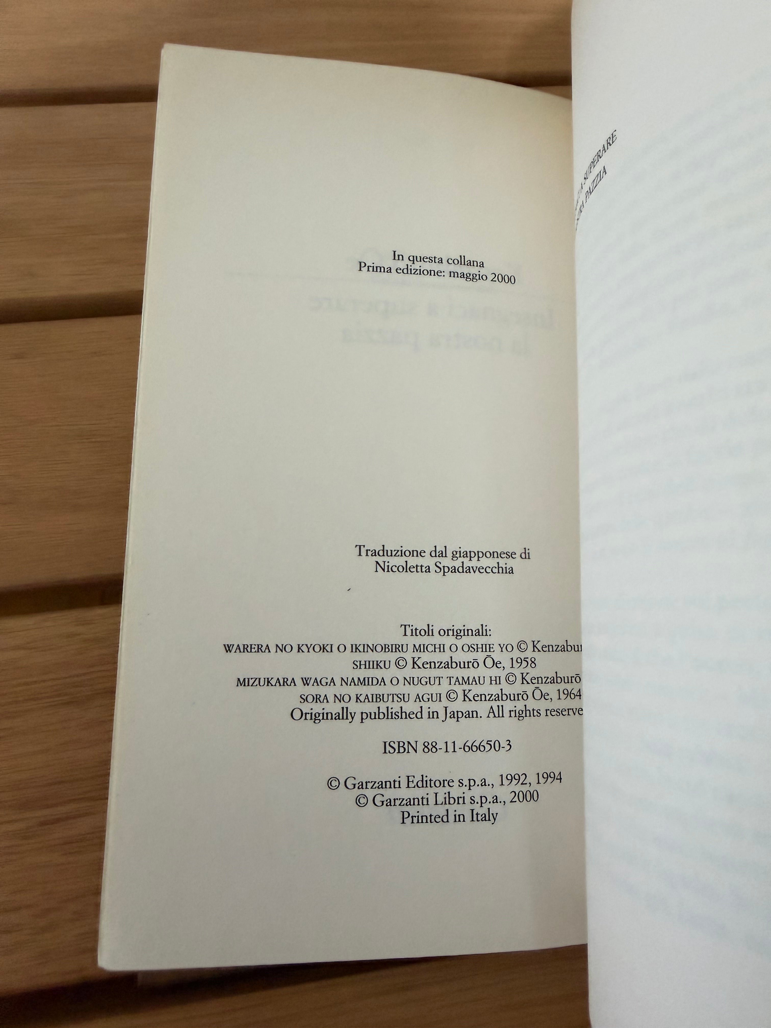 Insegnaci a superare la nostra pazzia - Kenzaburo Oe