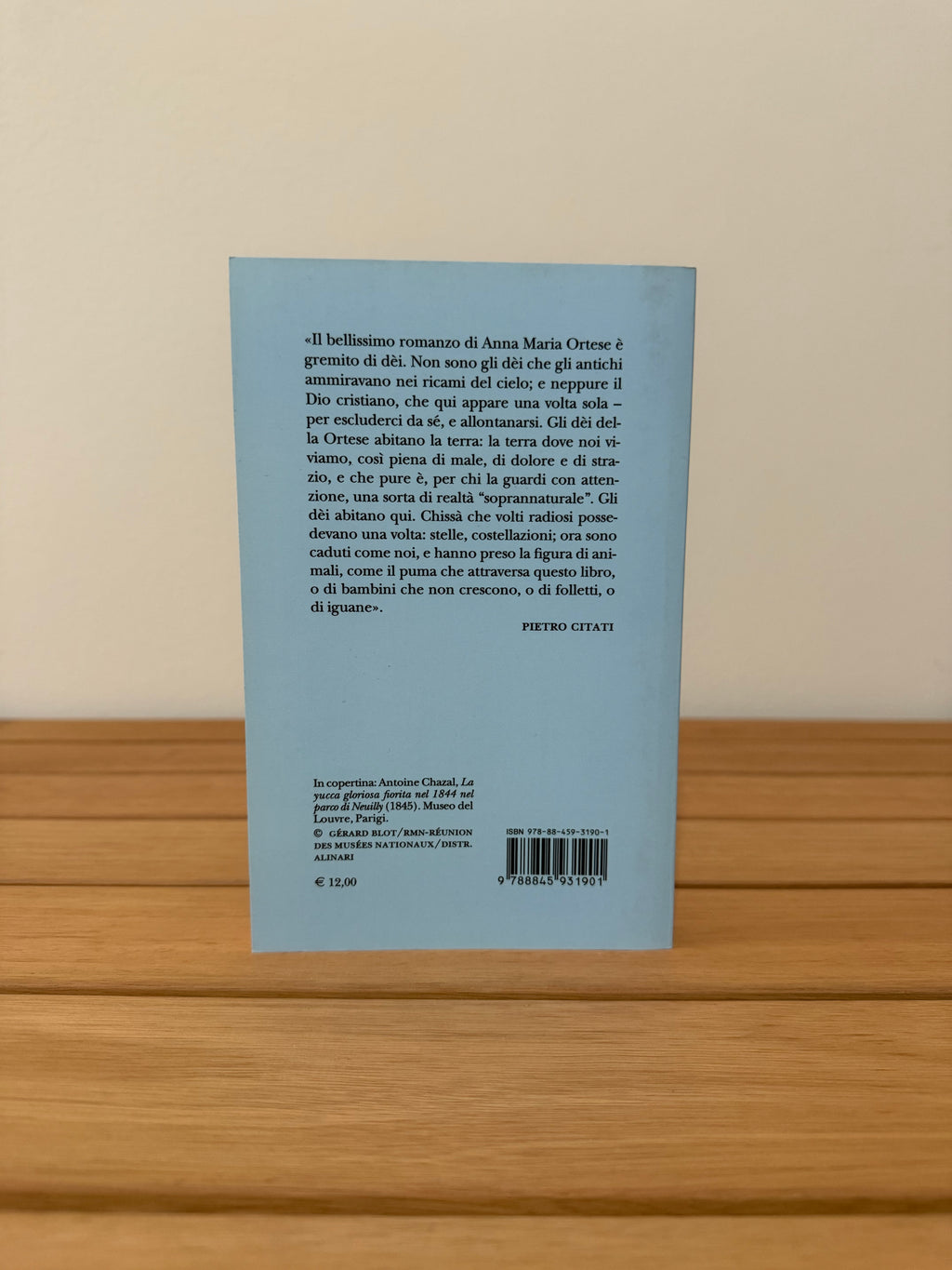Alonso e i visionari - Anna Maria Ortese