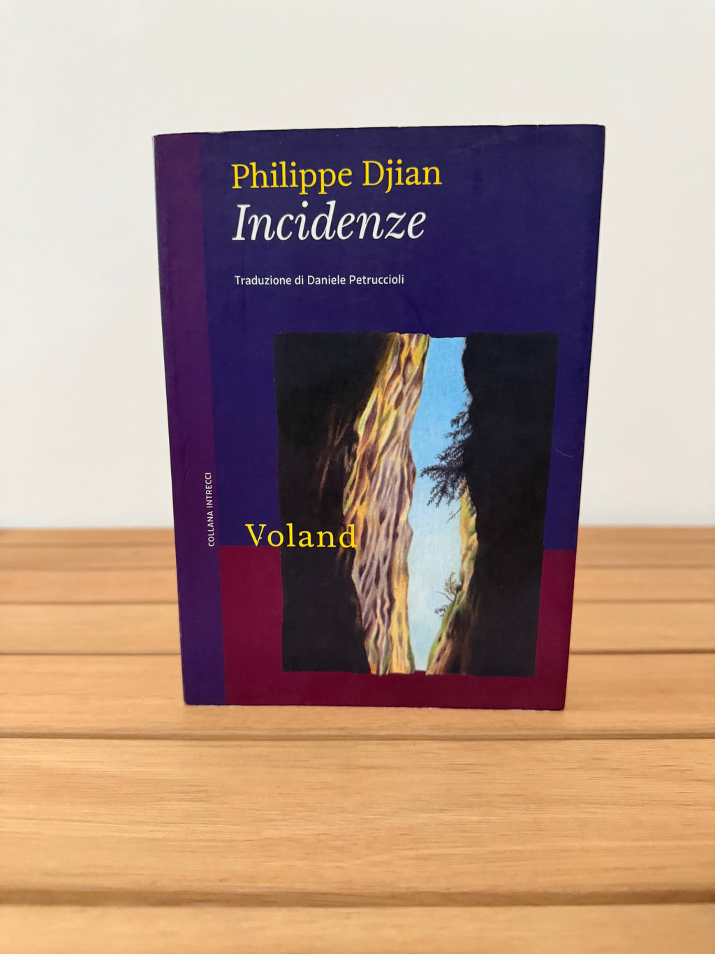 Incidenze - Philippe Djian