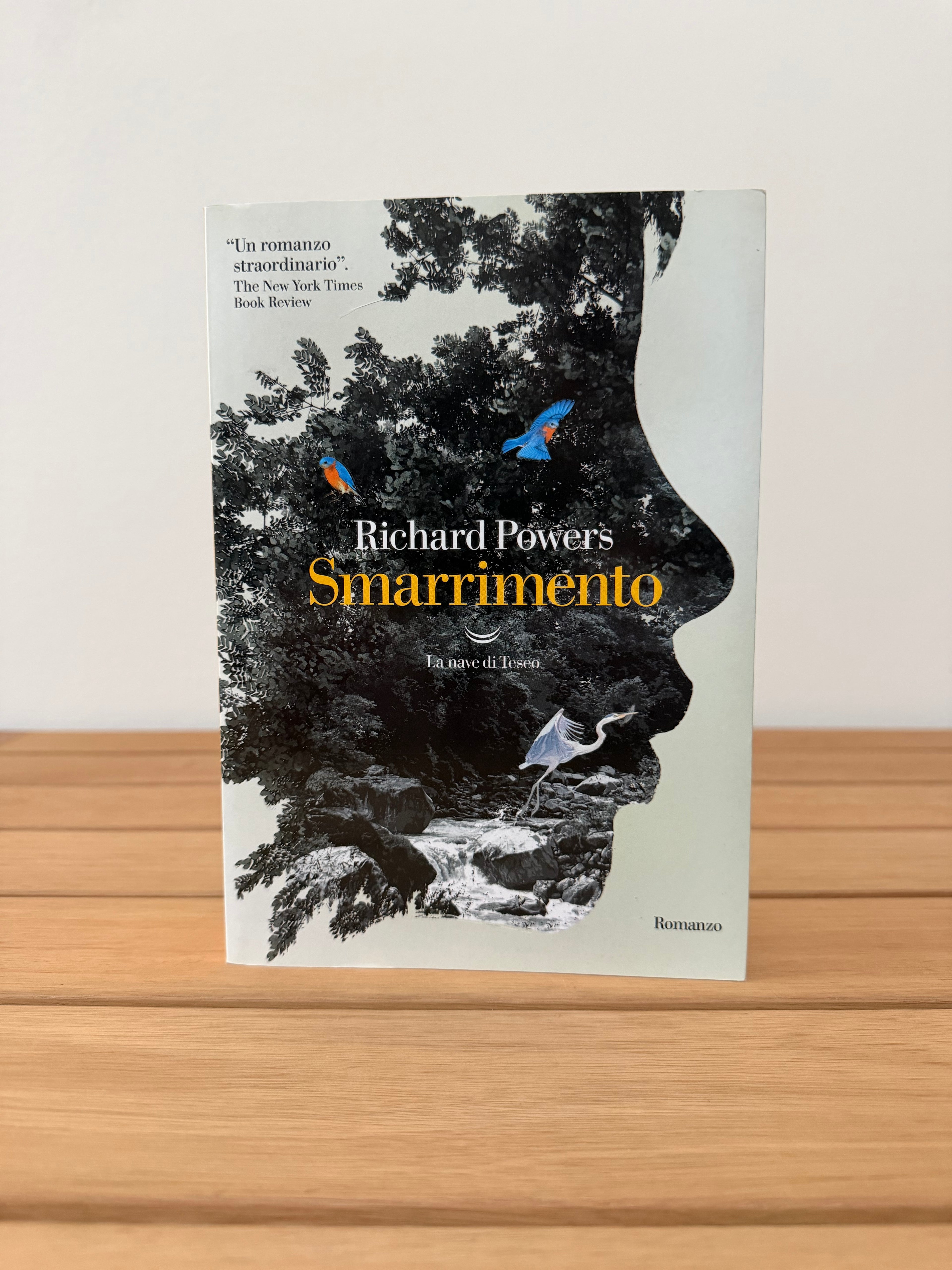 Smarrimento - Richard Powers