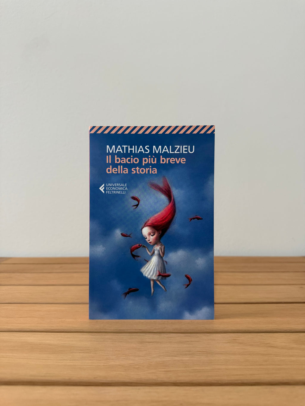 Il bacio più breve della storia - Mathias Malzieu