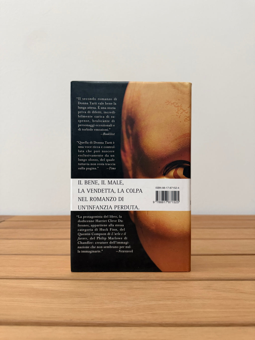 Il piccolo amico - Donna Tartt
