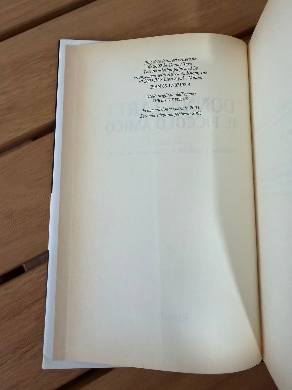 Il piccolo amico - Donna Tartt