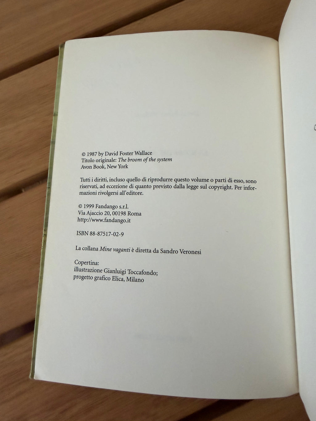 La scopa del sistema - David Foster Wallace