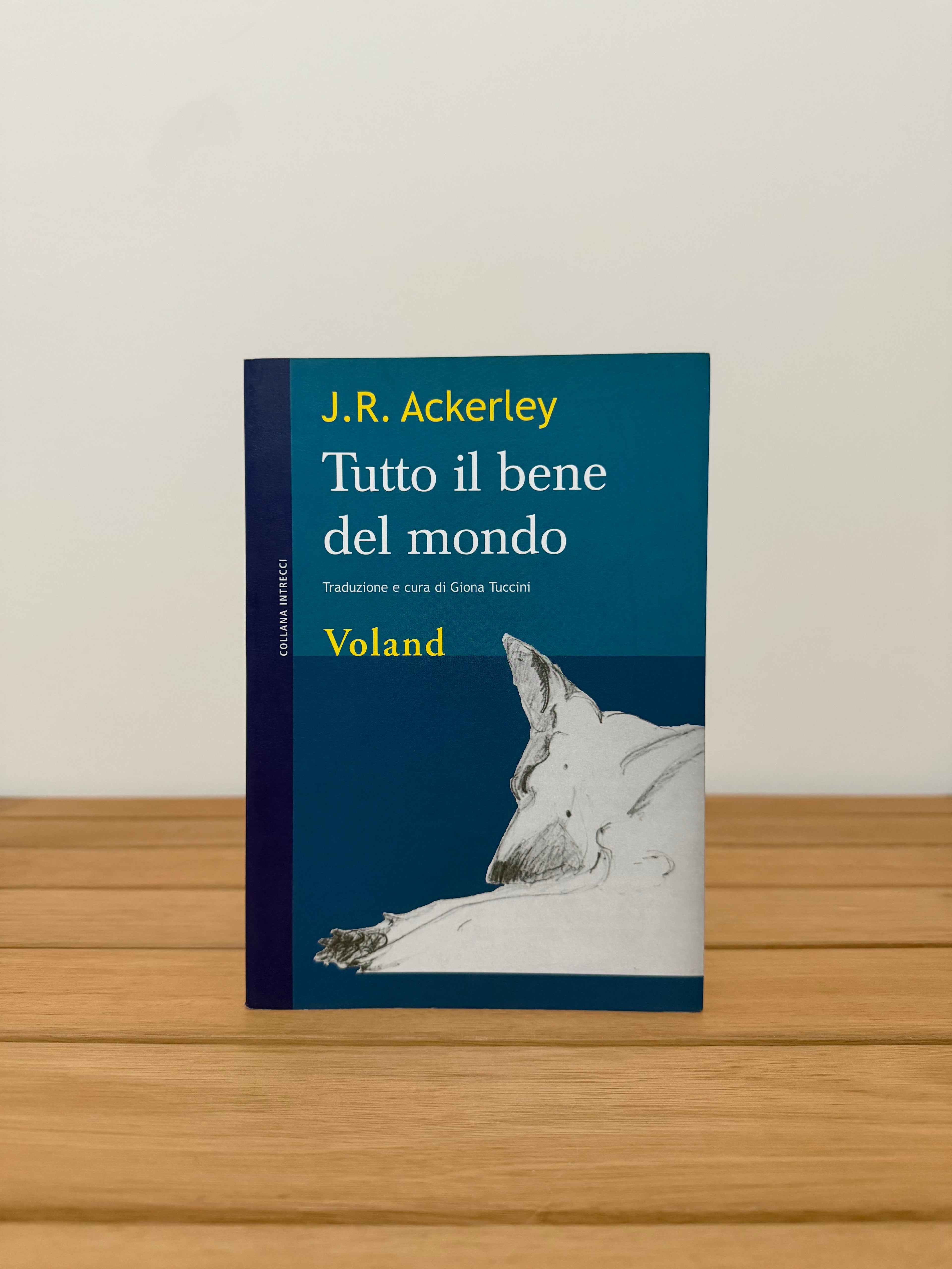 Tutto il bene del mondo - J. R. Ackerly