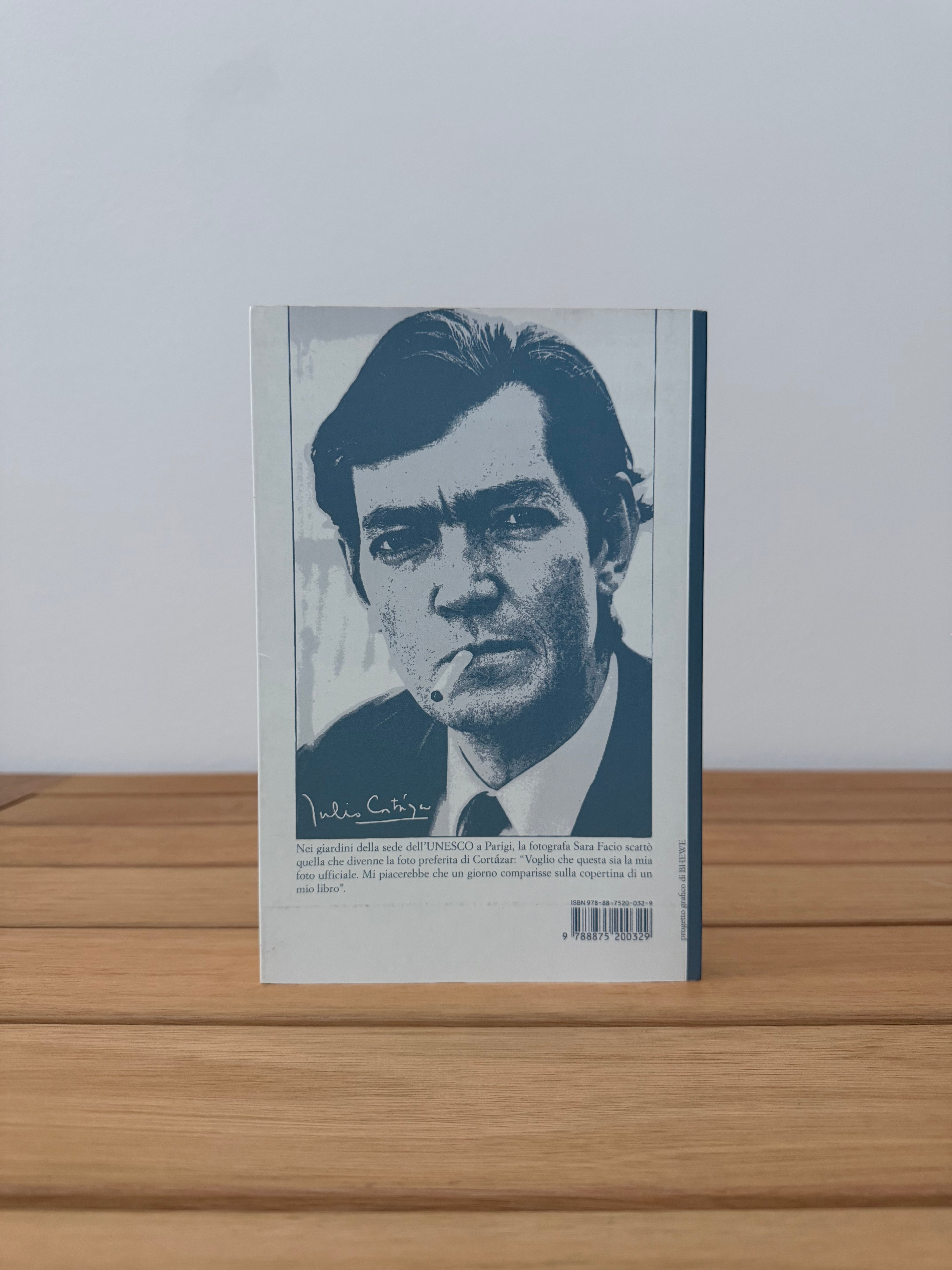 Ultimo round - Julio Cortázar