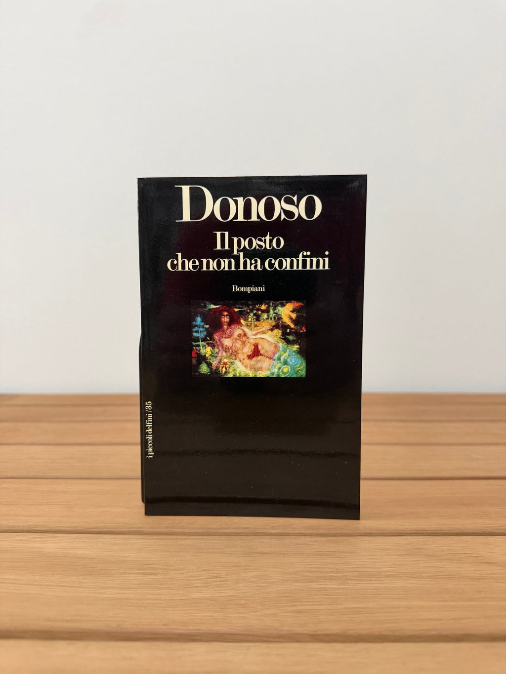 Il posto che non ha confini - José Donoso