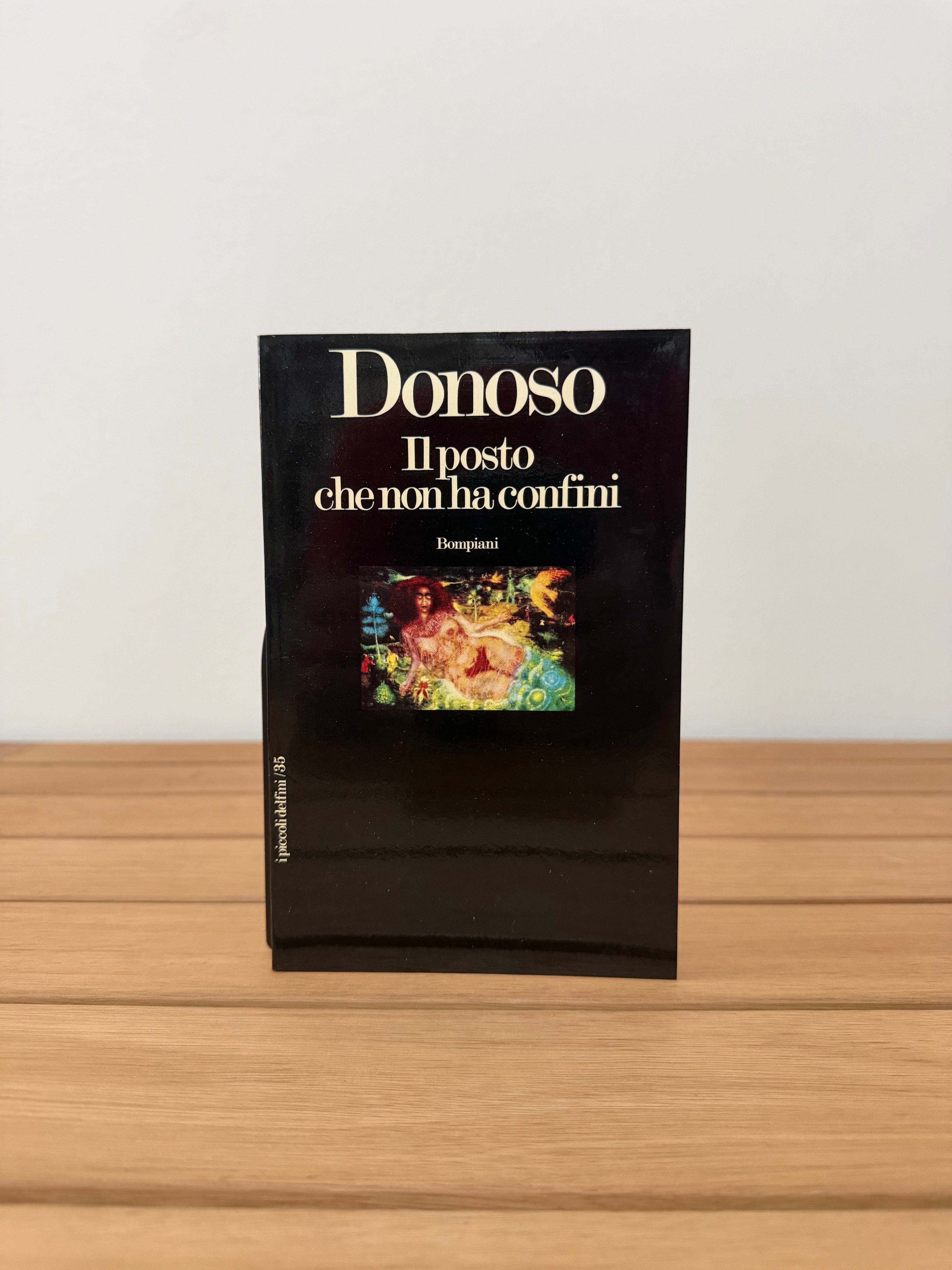 Il posto che non ha confini - José Donoso