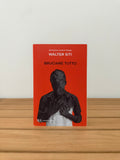 Bruciare tutto - Walter Siti