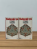 Il primo cerchio - Aleksandr Solzenicyn