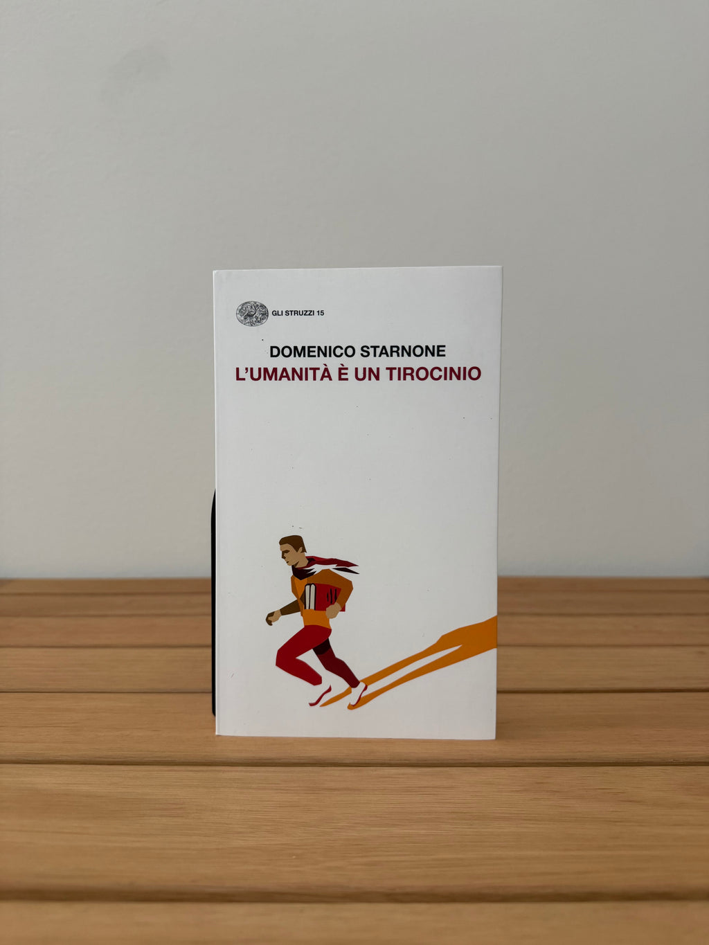 L'umanità è un tirocinio - Domenico Starnone