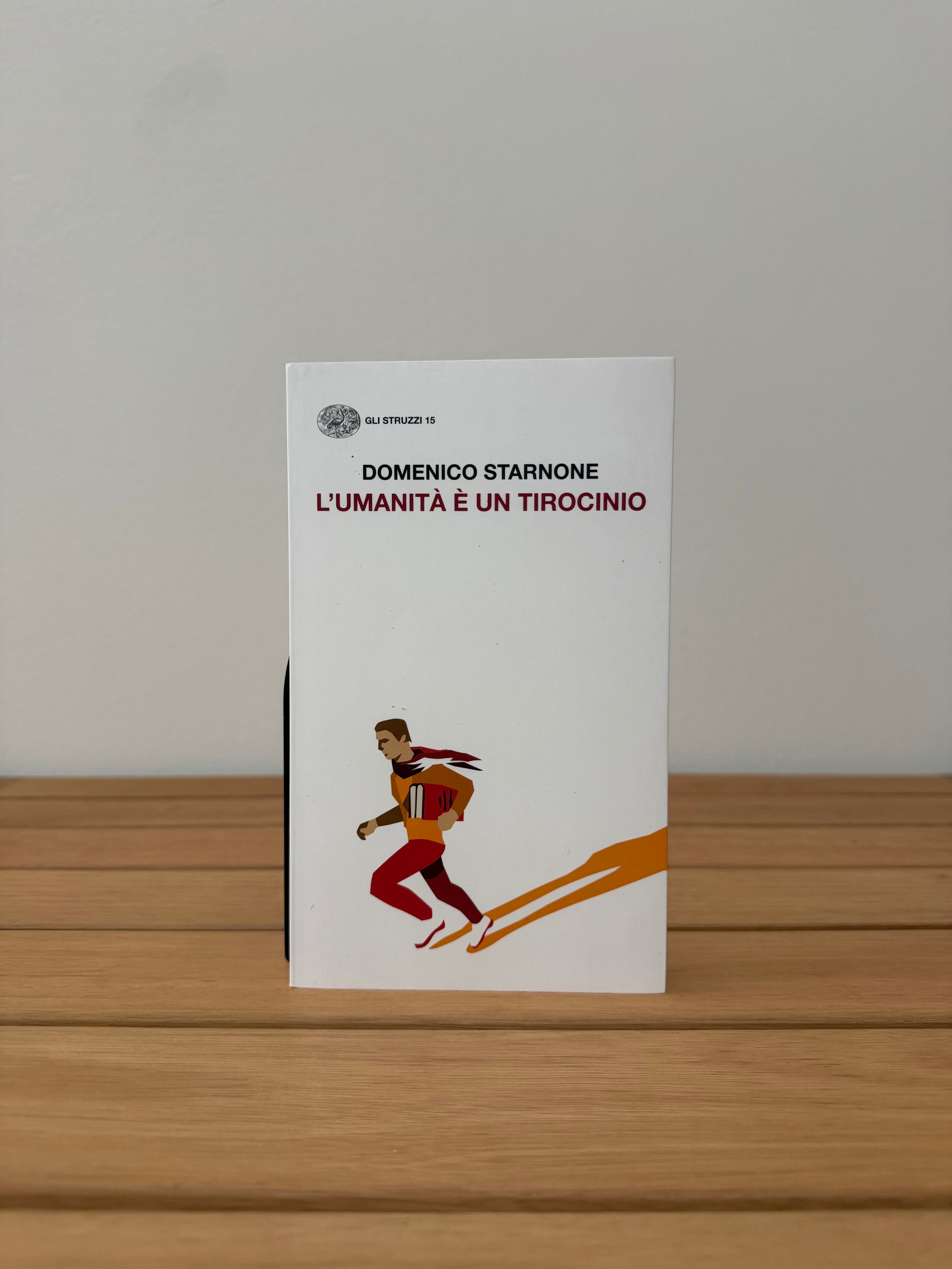 L'umanità è un tirocinio - Domenico Starnone